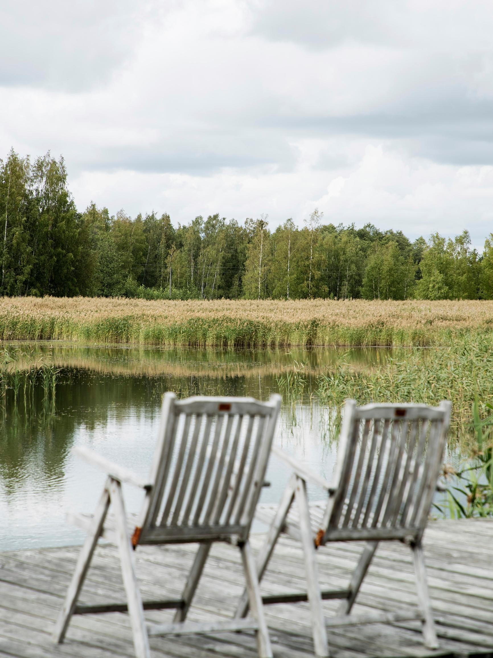 Remove the common reed from your shoreline! An expert’s guide to eliminating the problem