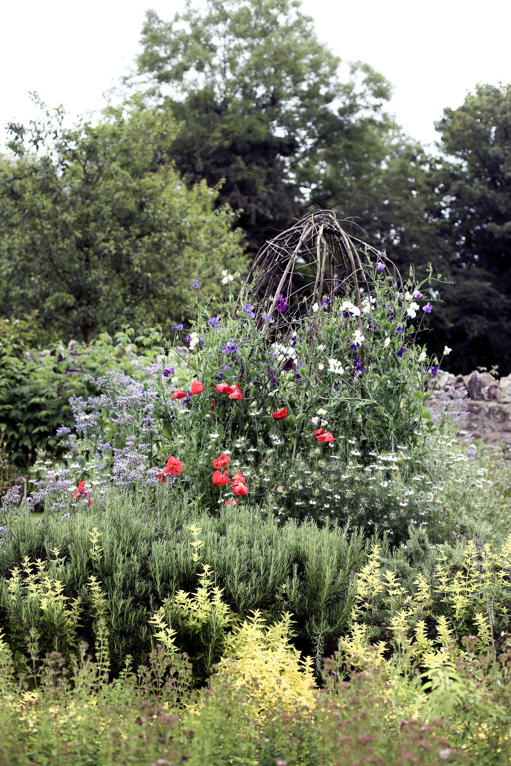 garden ideas