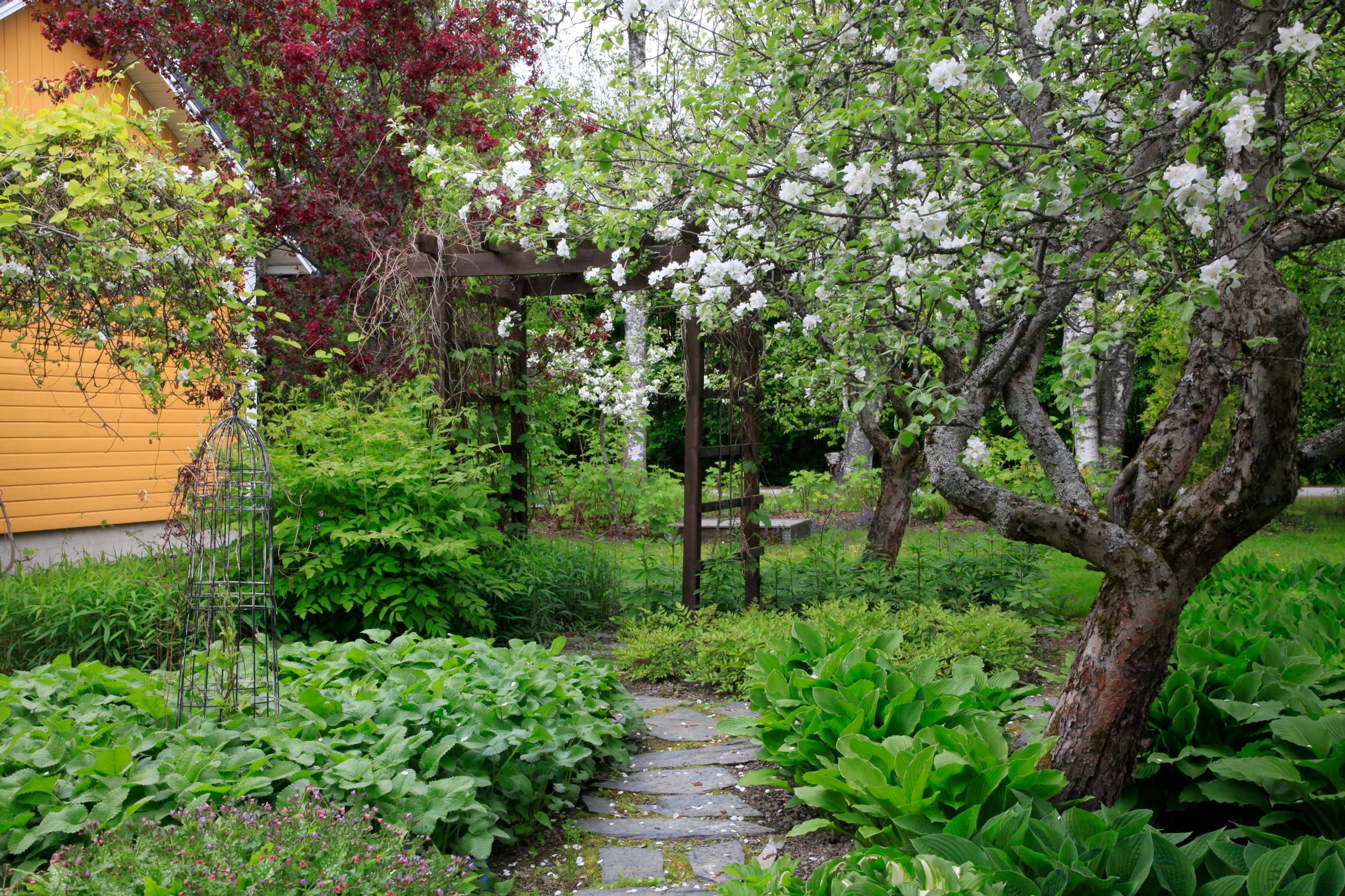 Paths weave through the apple trees and perennial plantings.
