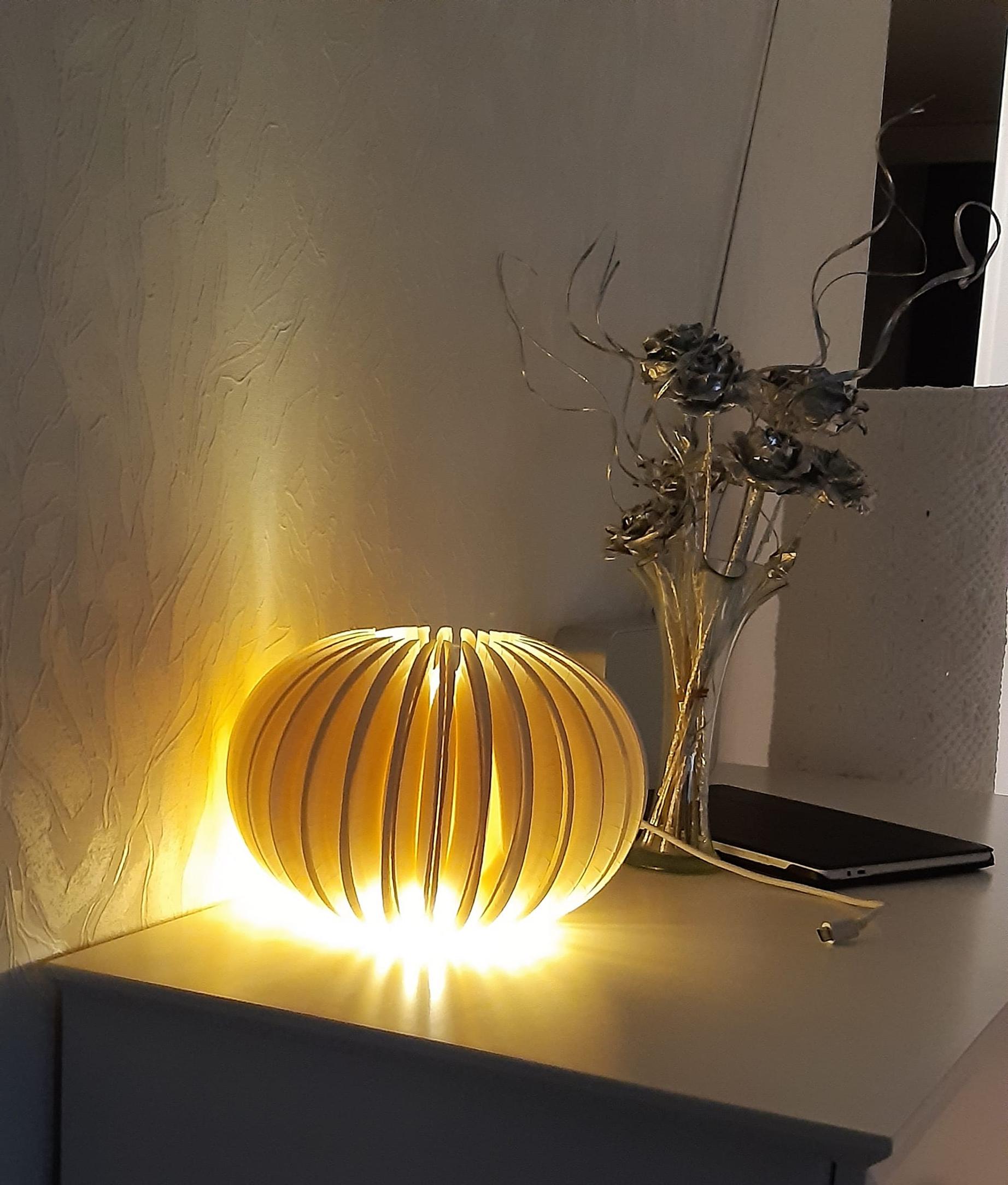 A lantern made from paper plates and silver decorative flowers