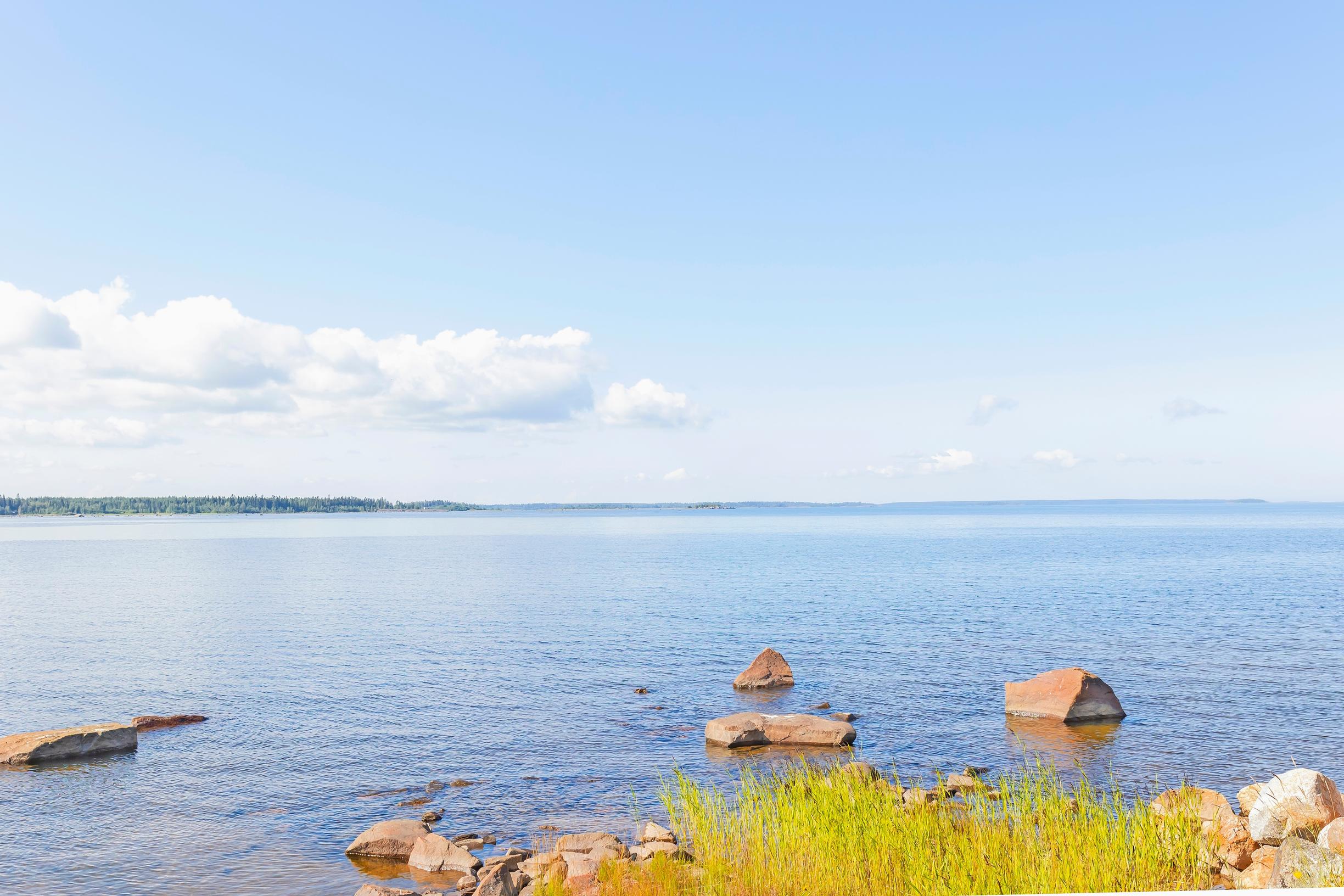 sea view with clouds, stones and grasses near the shore
