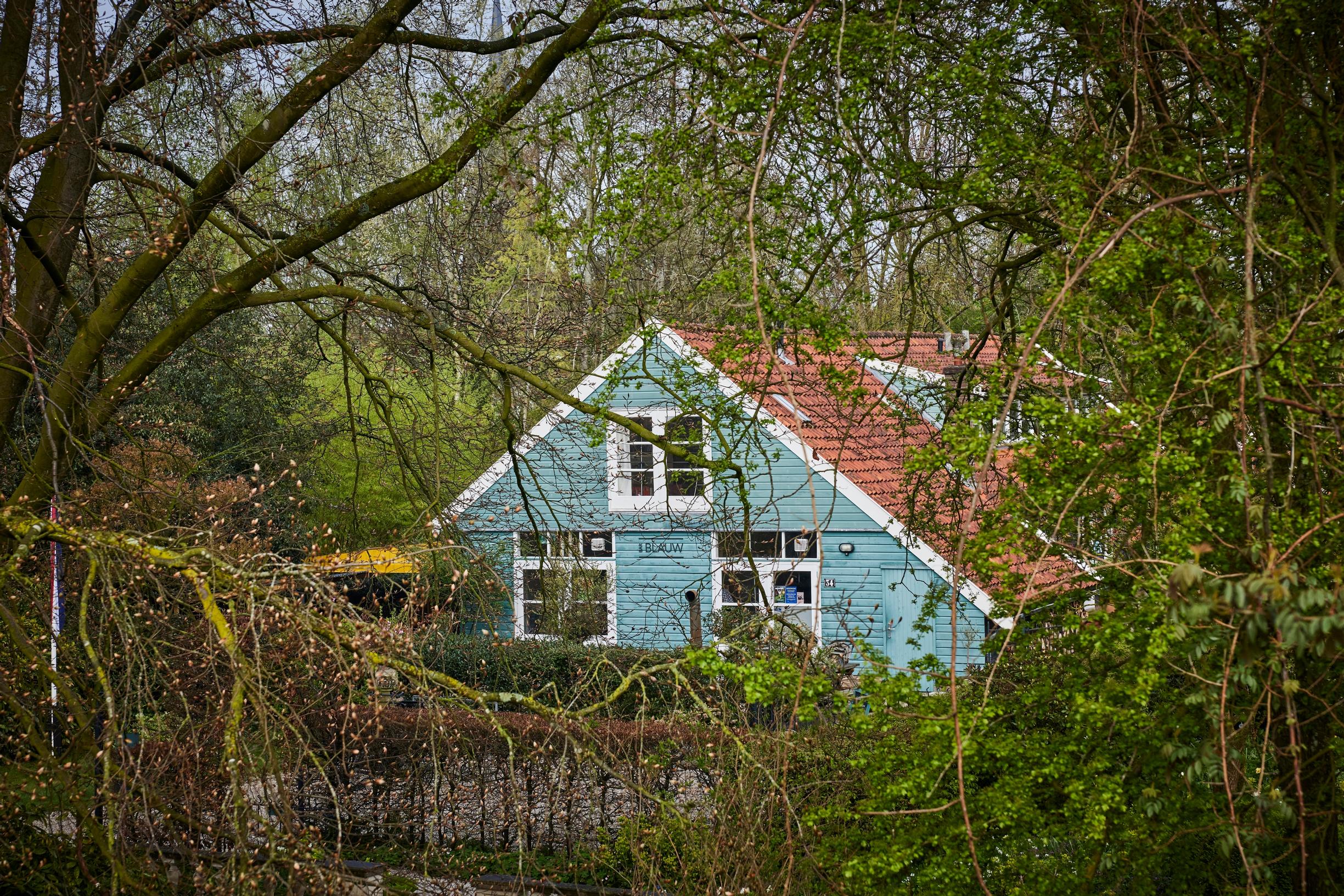 Jacqueline van der Kloet’s garden