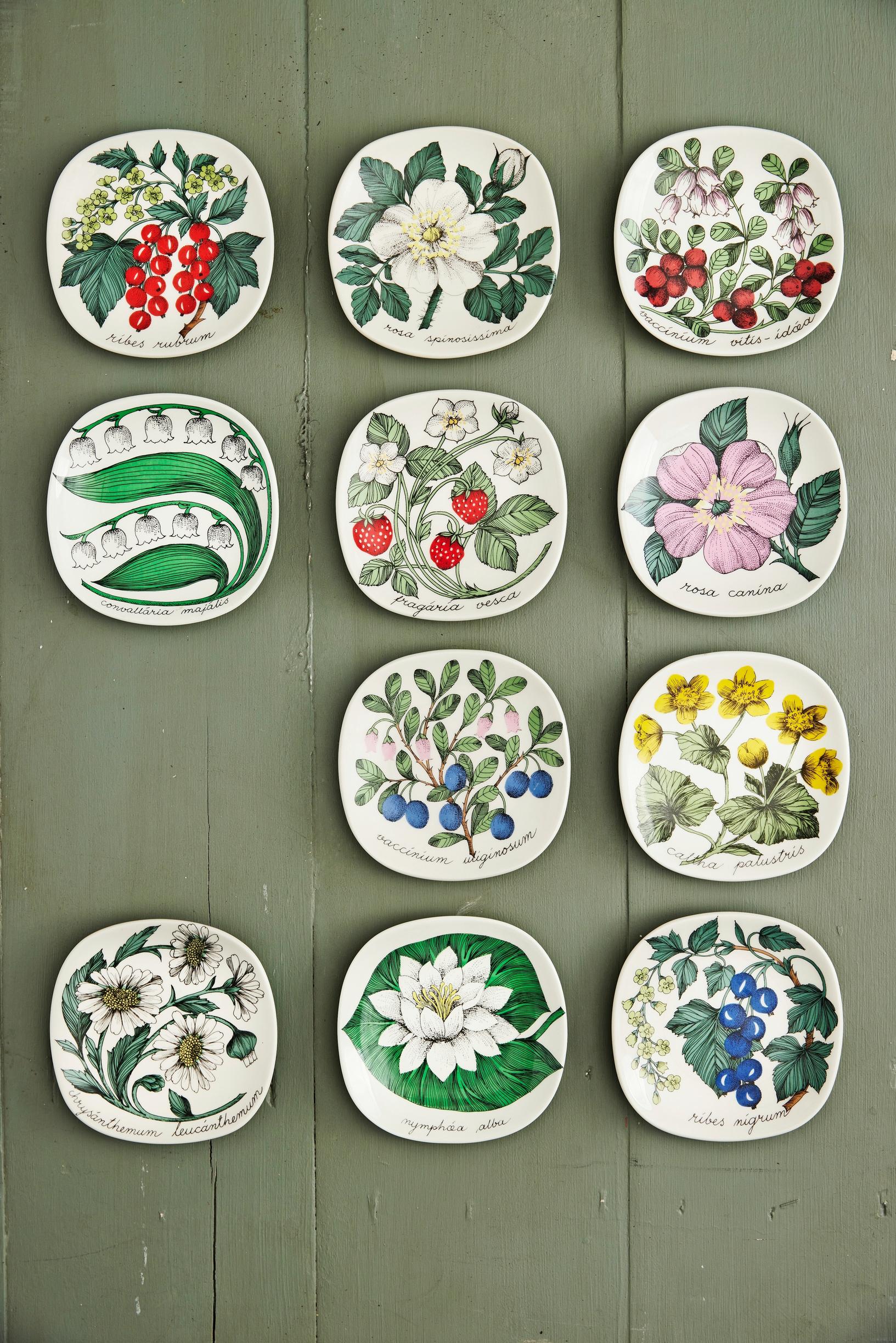 Esteri Tomula’s Botanica and Rosa decorative plates