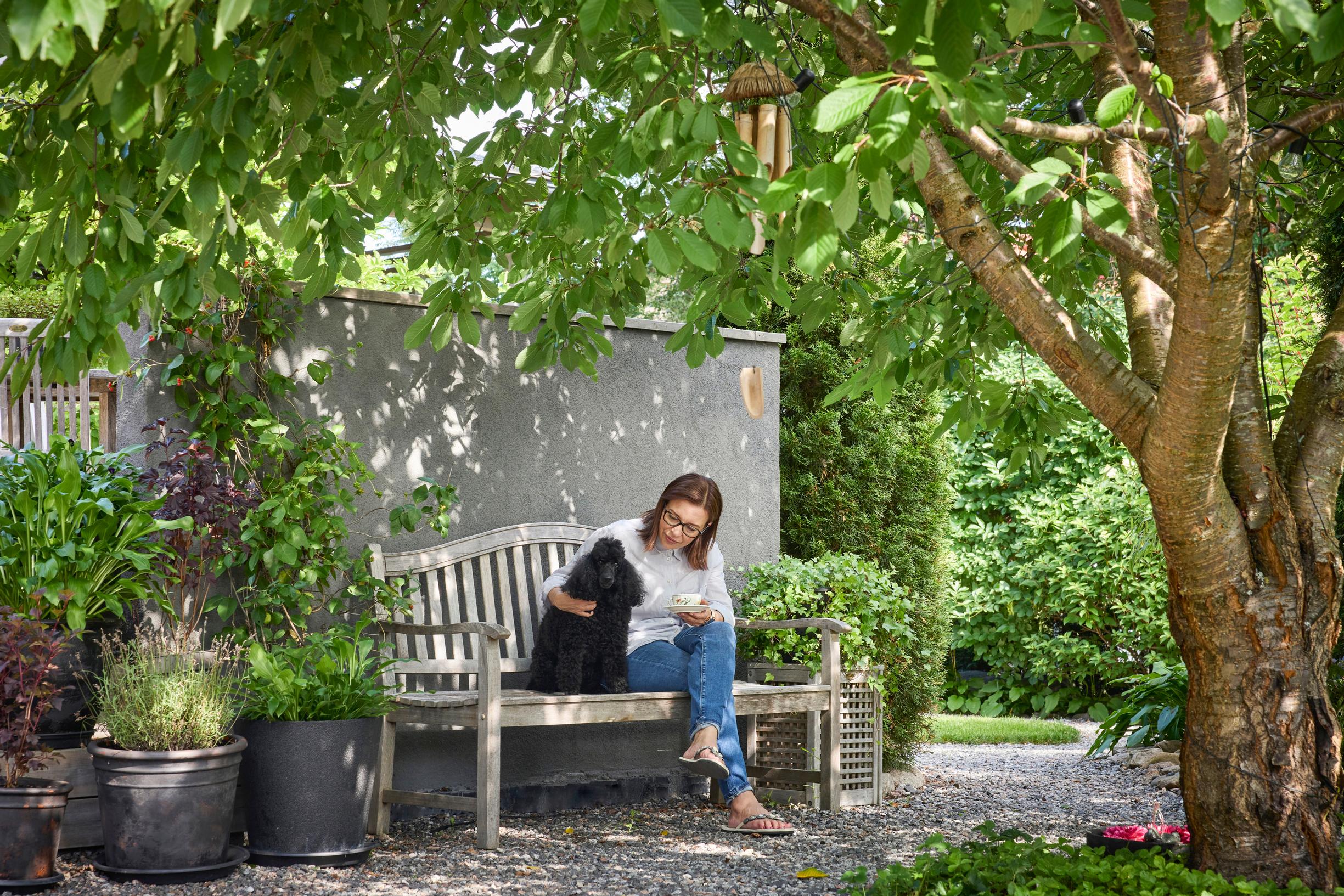 A woman and a dog sit on a bench in the shade of a tree.