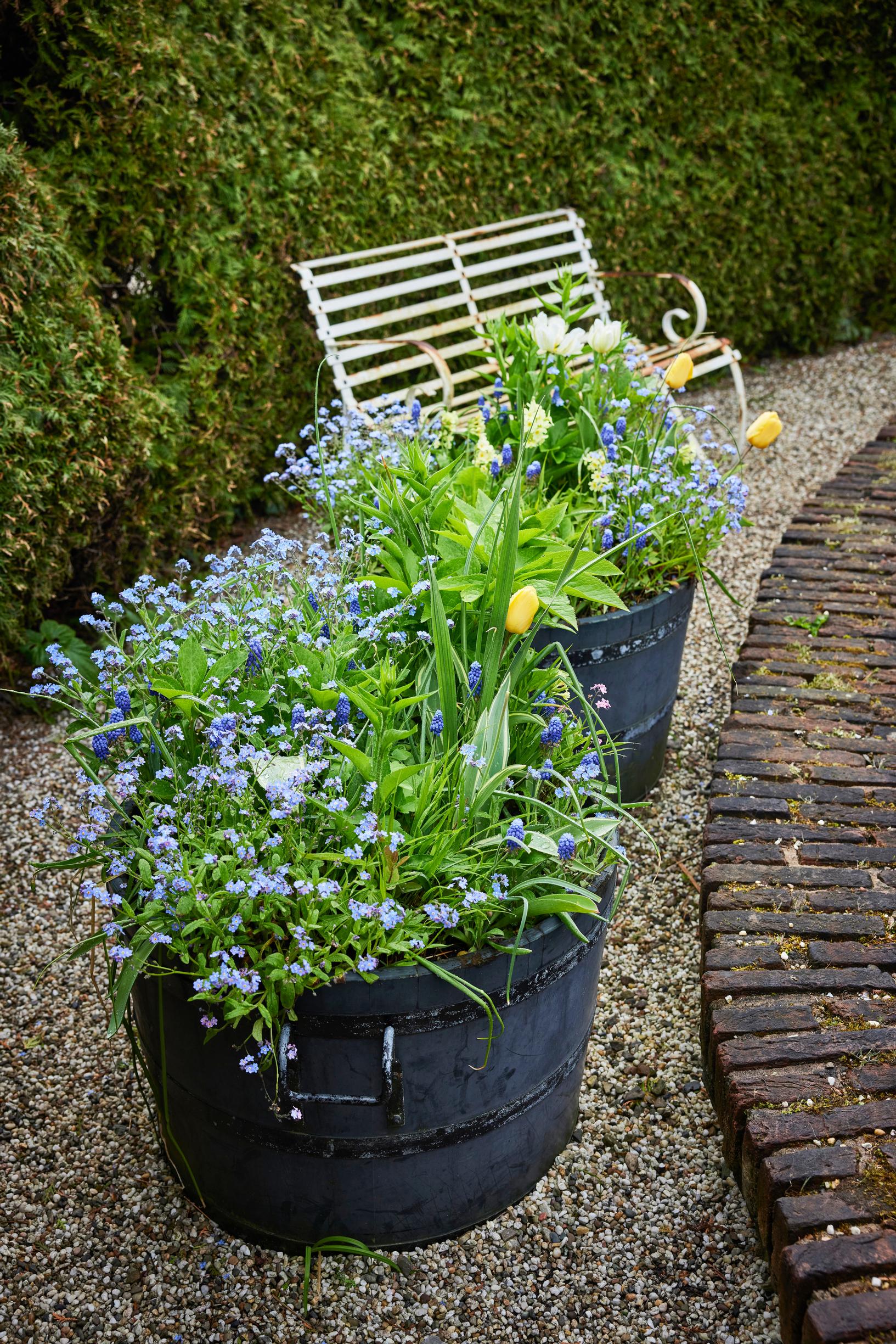 Jacqueline van der Kloet’s garden