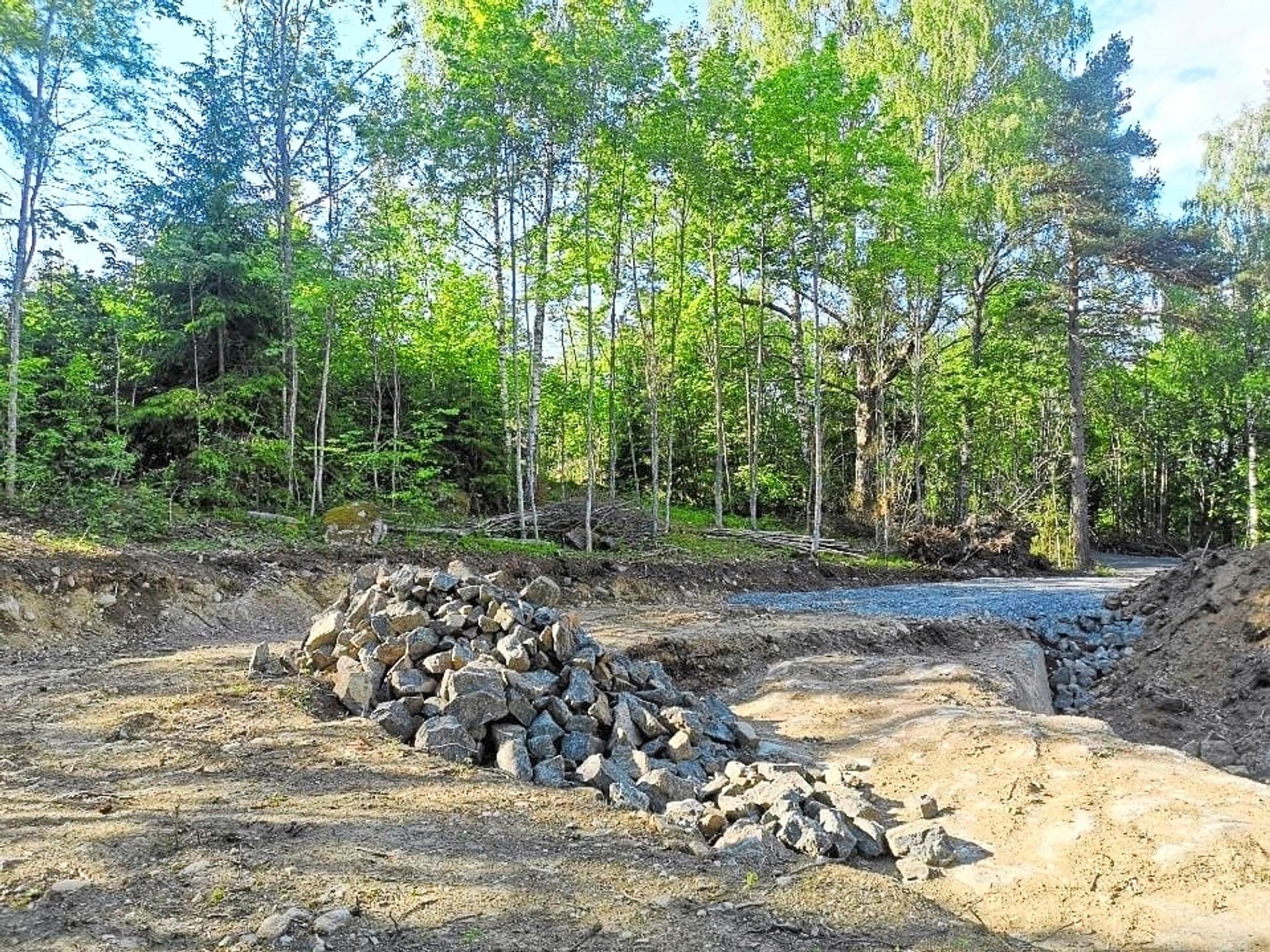 building a natural swimming pool