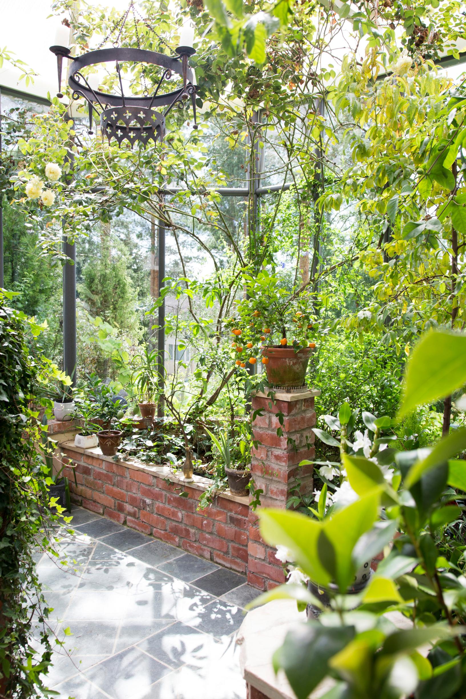 garden ideas