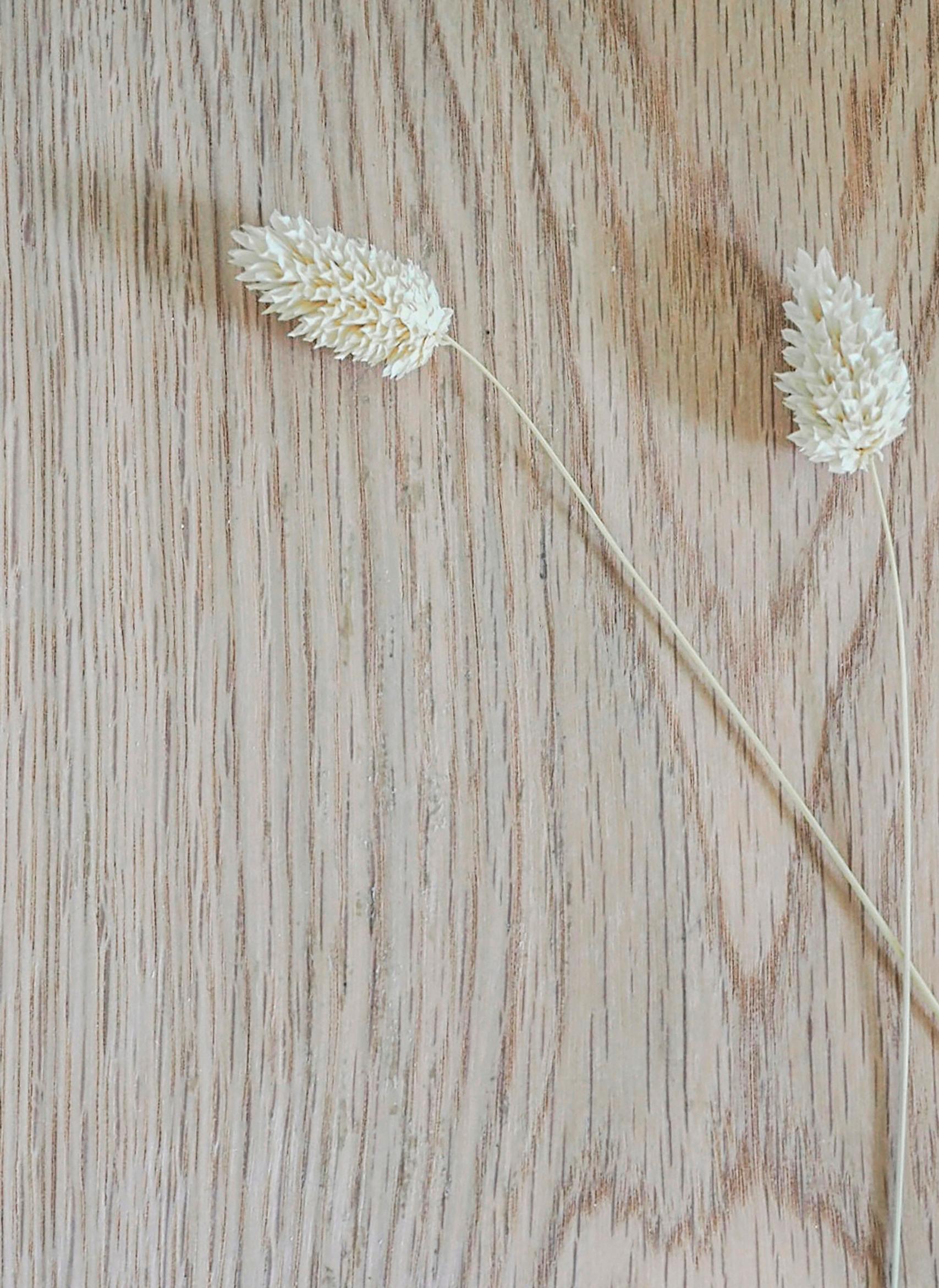 A solid wood board for building the shelf.
