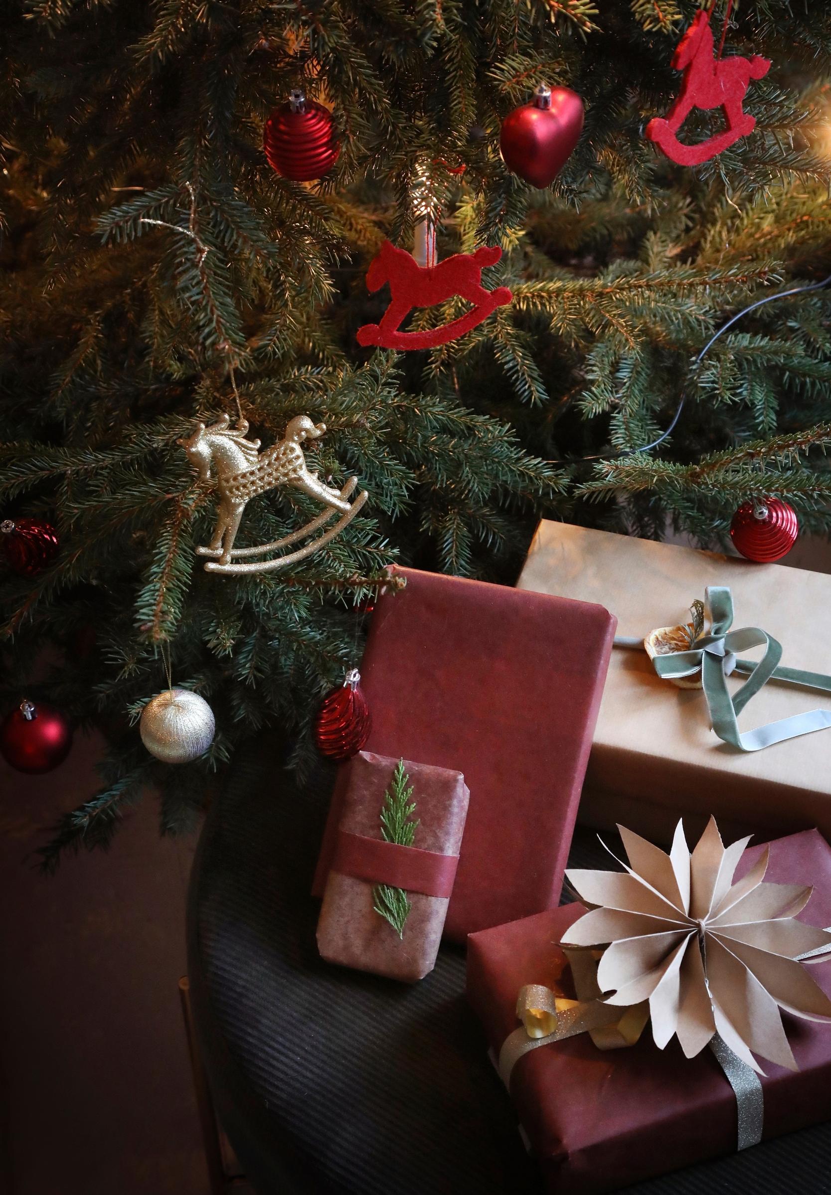 Presents under the Christmas tree