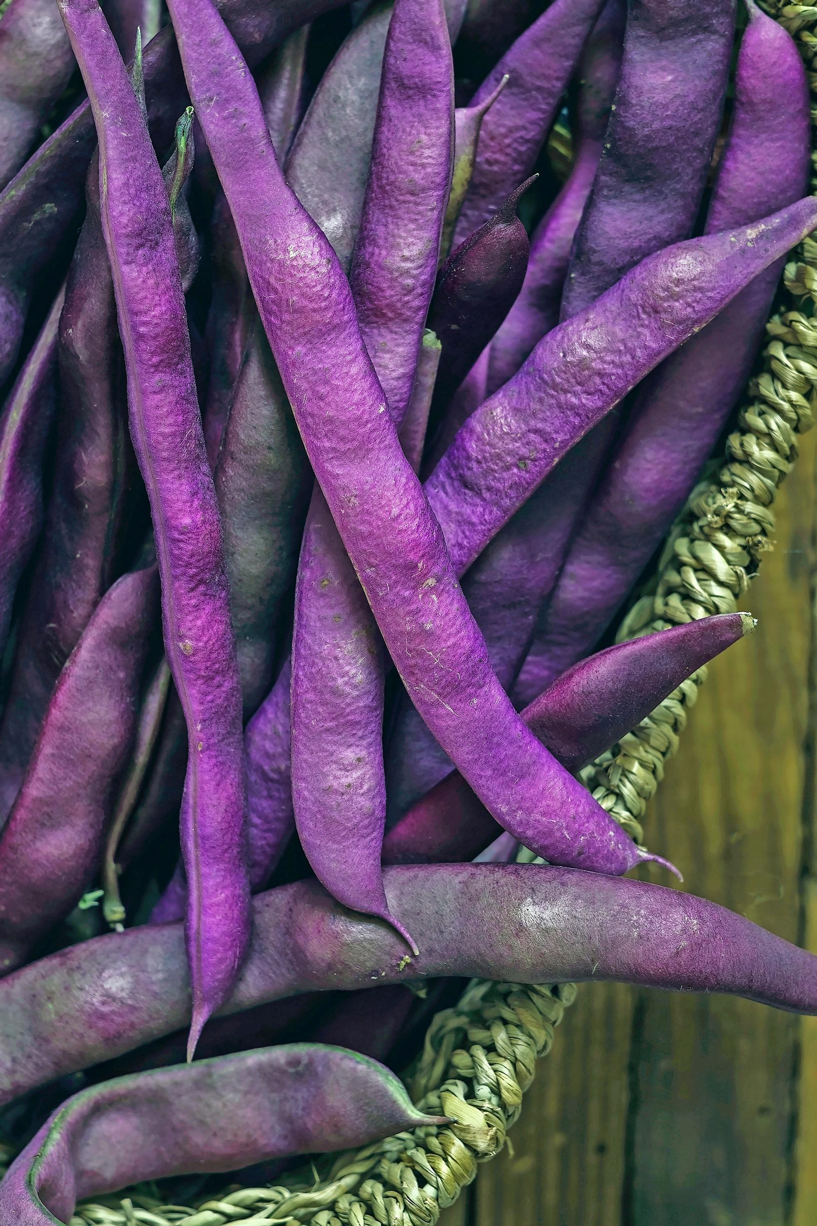 Pole bean ‘Blauhilde’