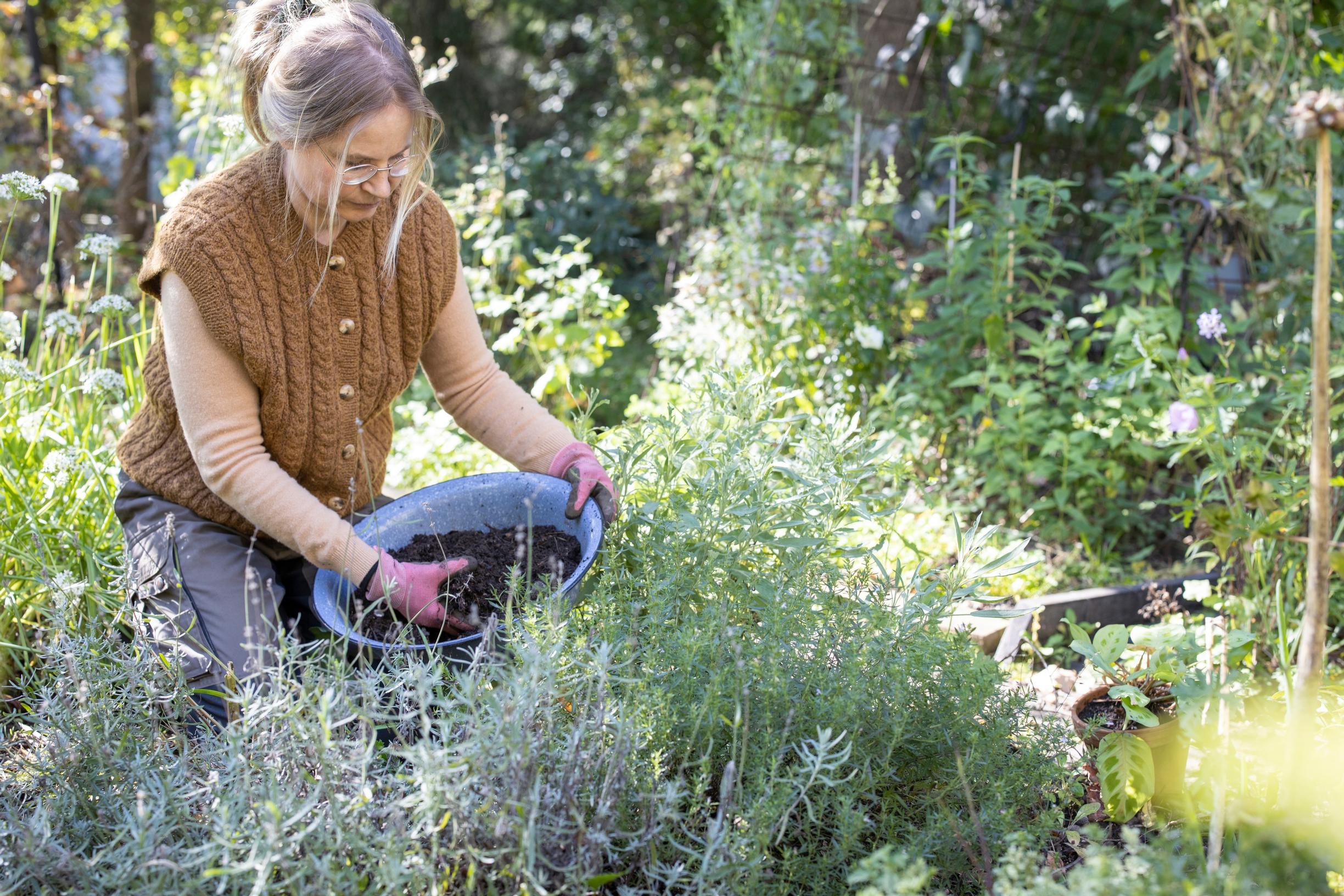 Using compost soil