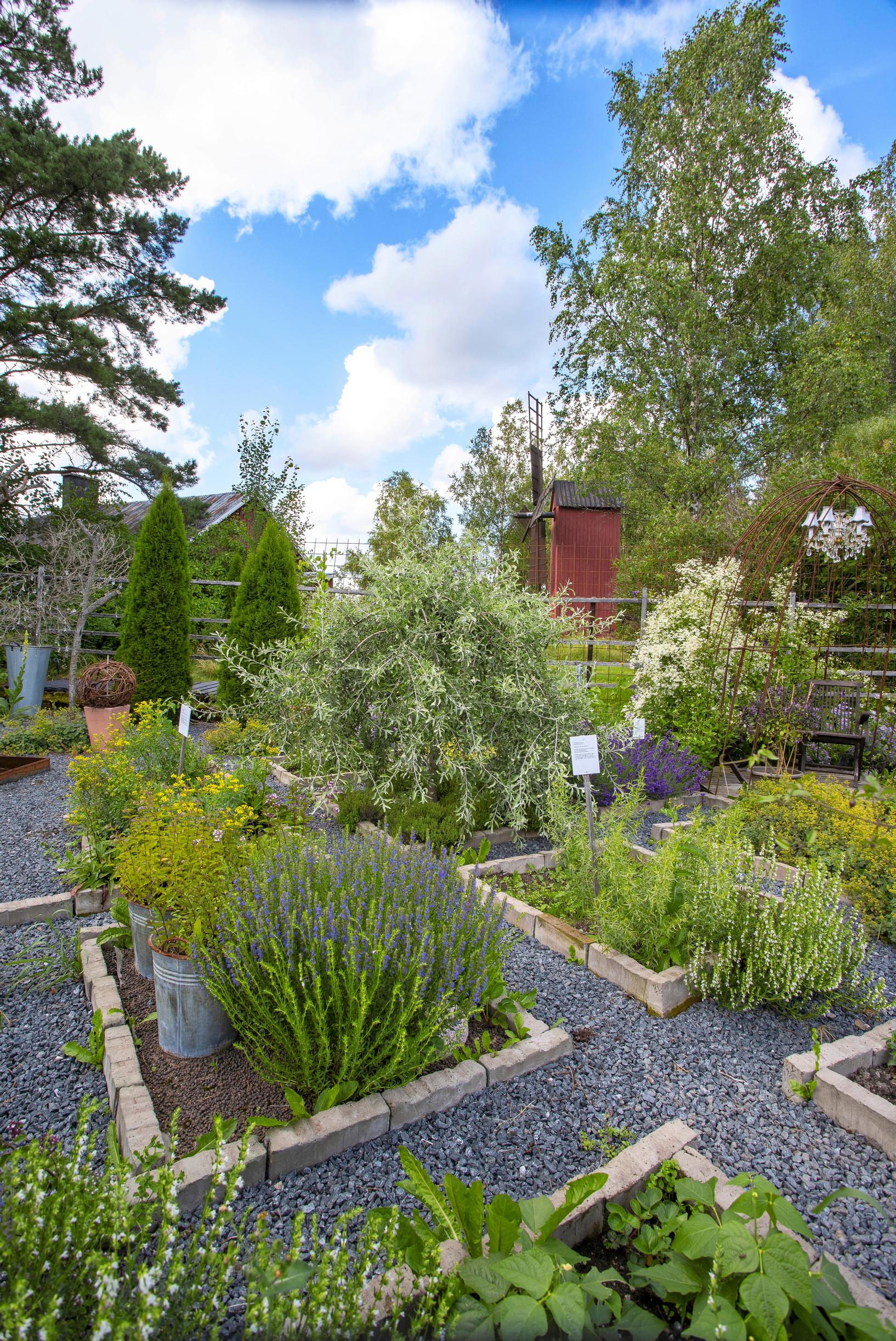The herb garden is laid out in a geometric pattern