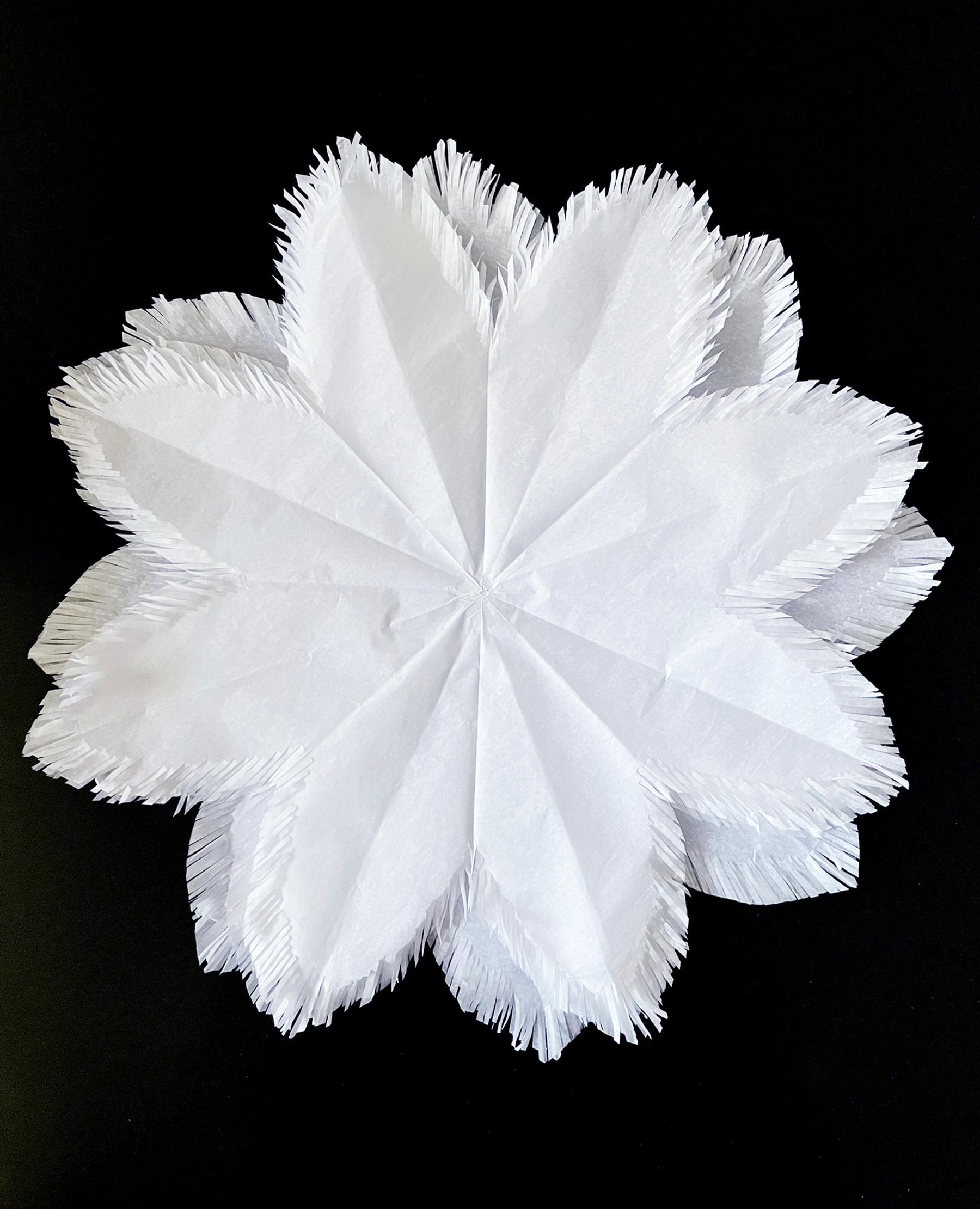 Assembling the fringe star layer by layer