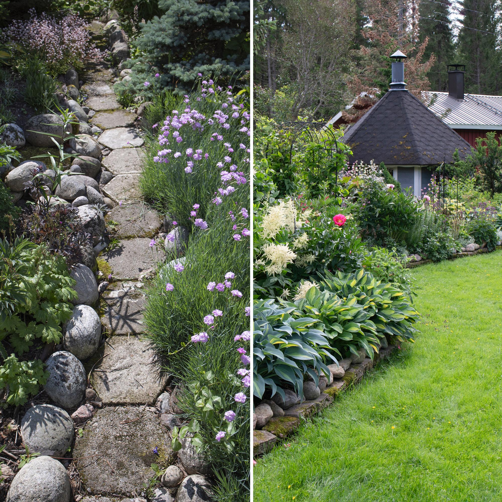 1,500 different species thrive in this plant collector’s garden—stone borders keep the beds in shape and make maintenance easier