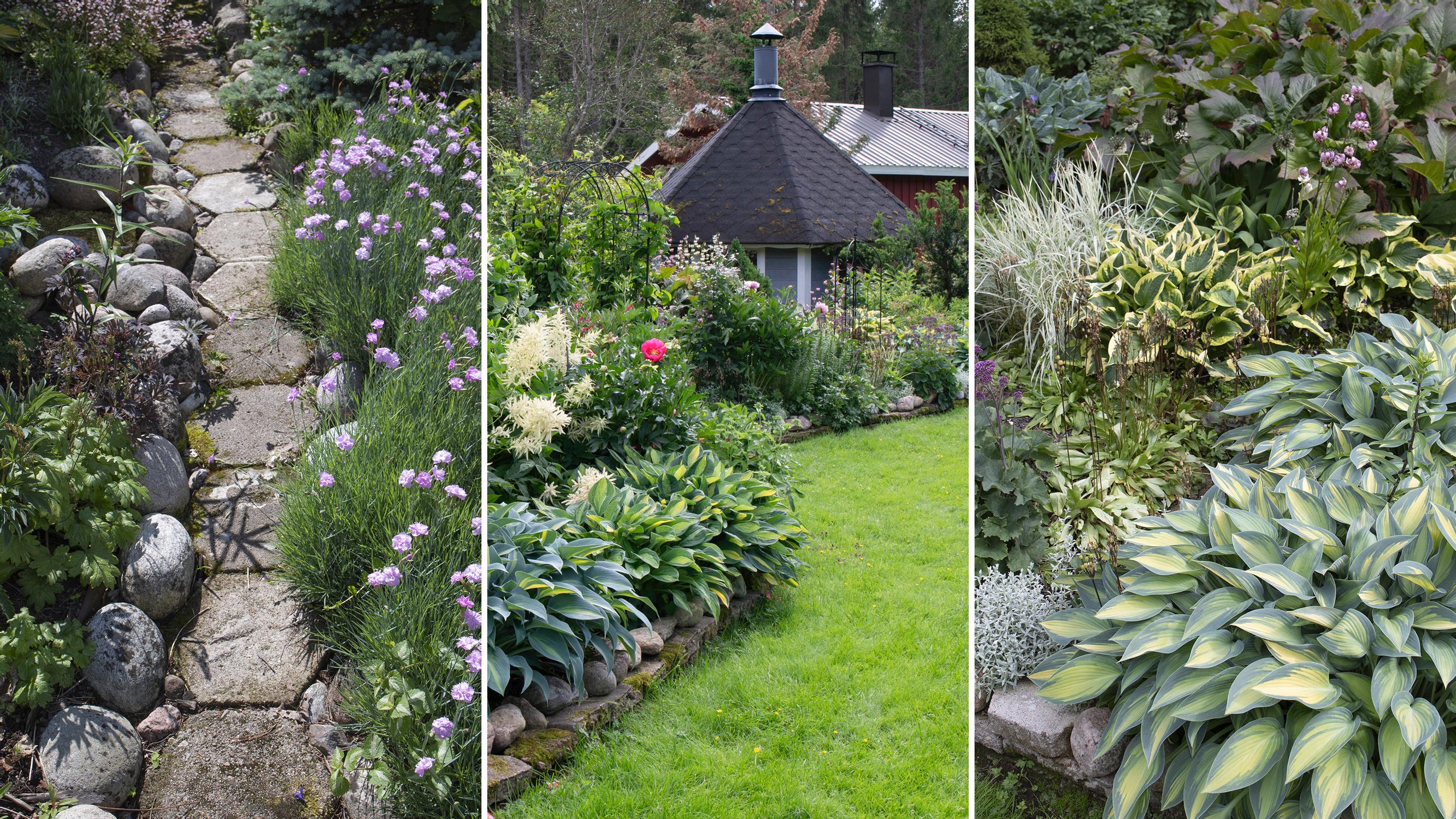 1,500 different species thrive in this plant collector’s garden—stone borders keep the beds in shape and make maintenance easier