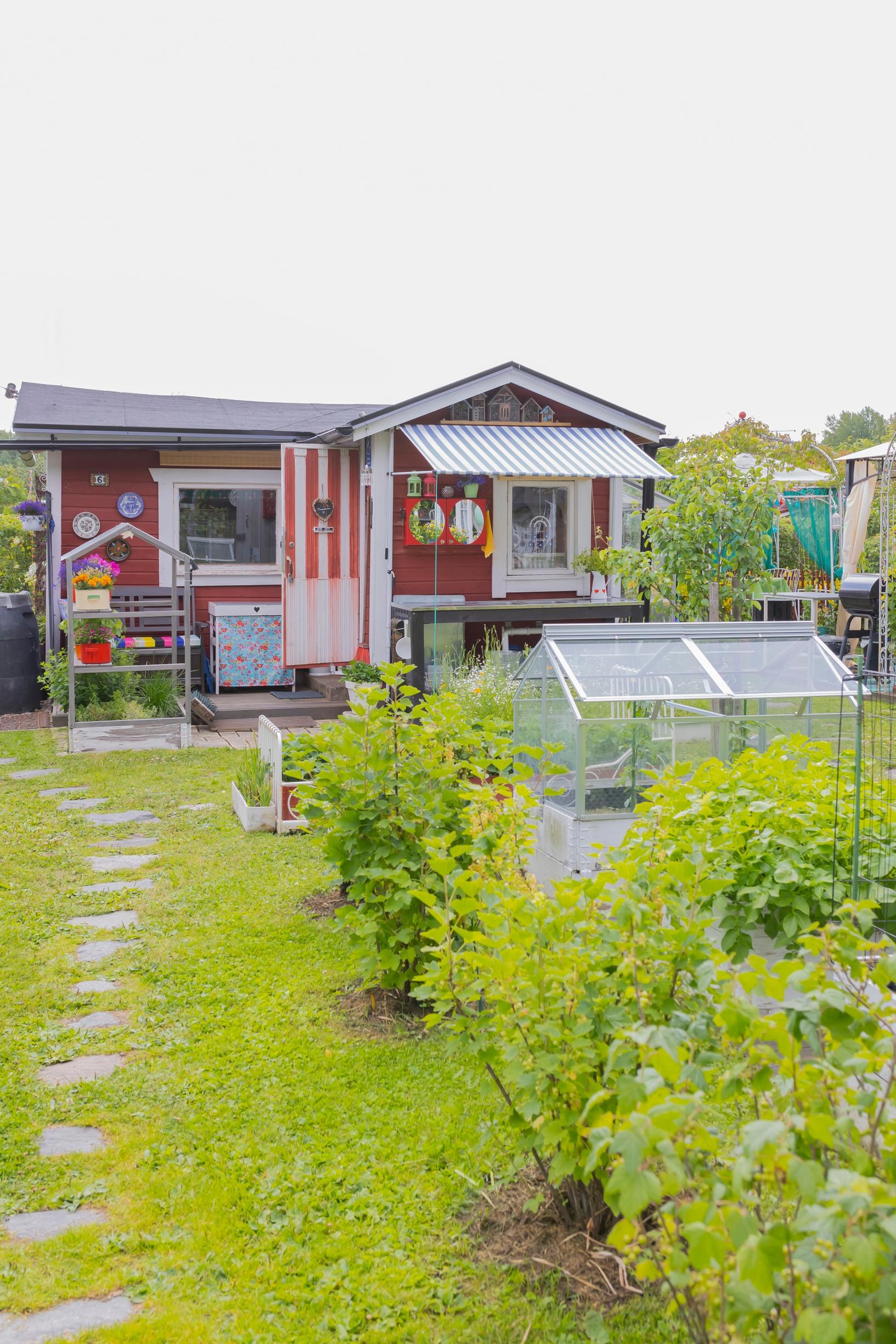 a red allotment garden cottage with berry bushes and a vegetable patch in front