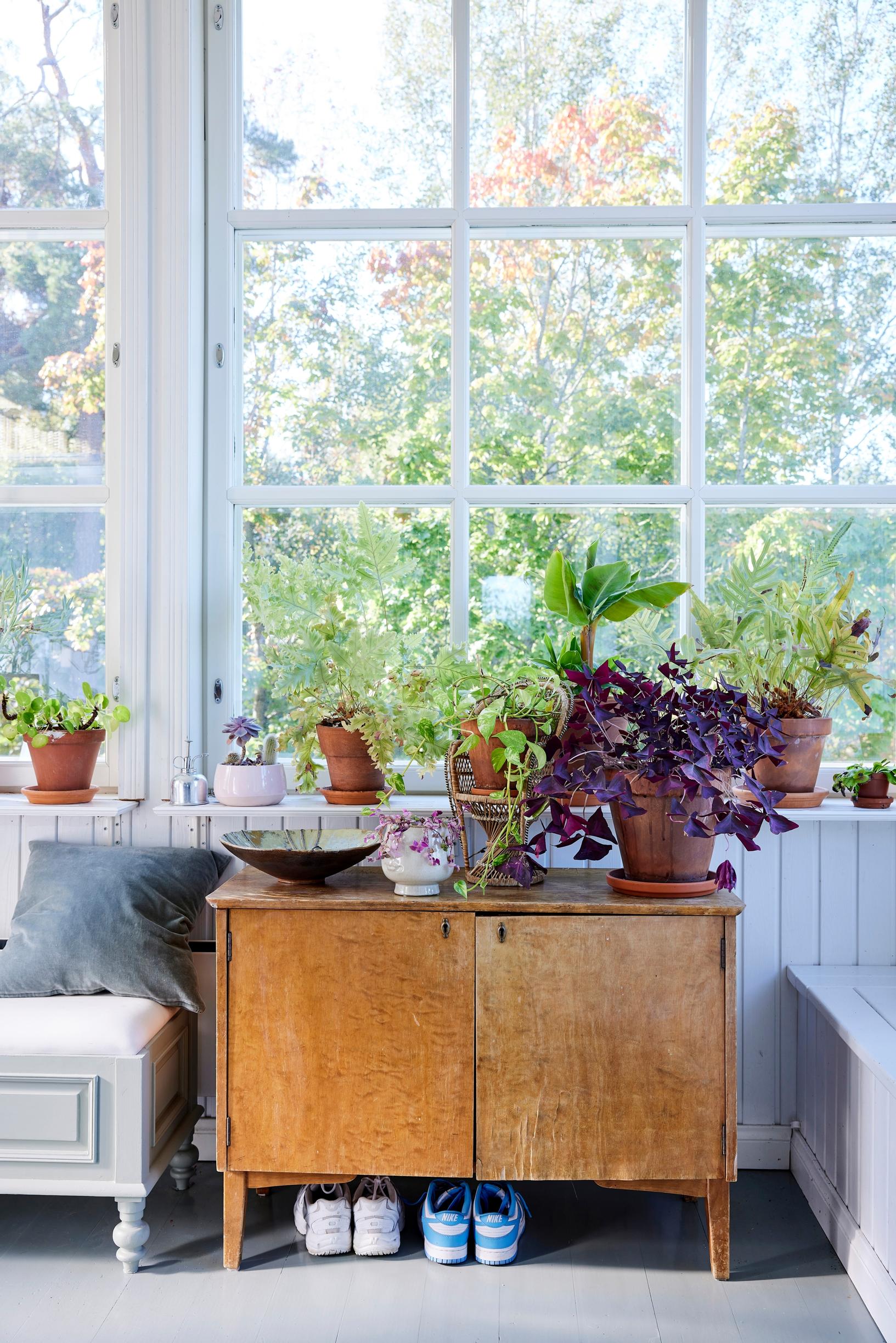 A wooden cabinet and paned windows on the porch