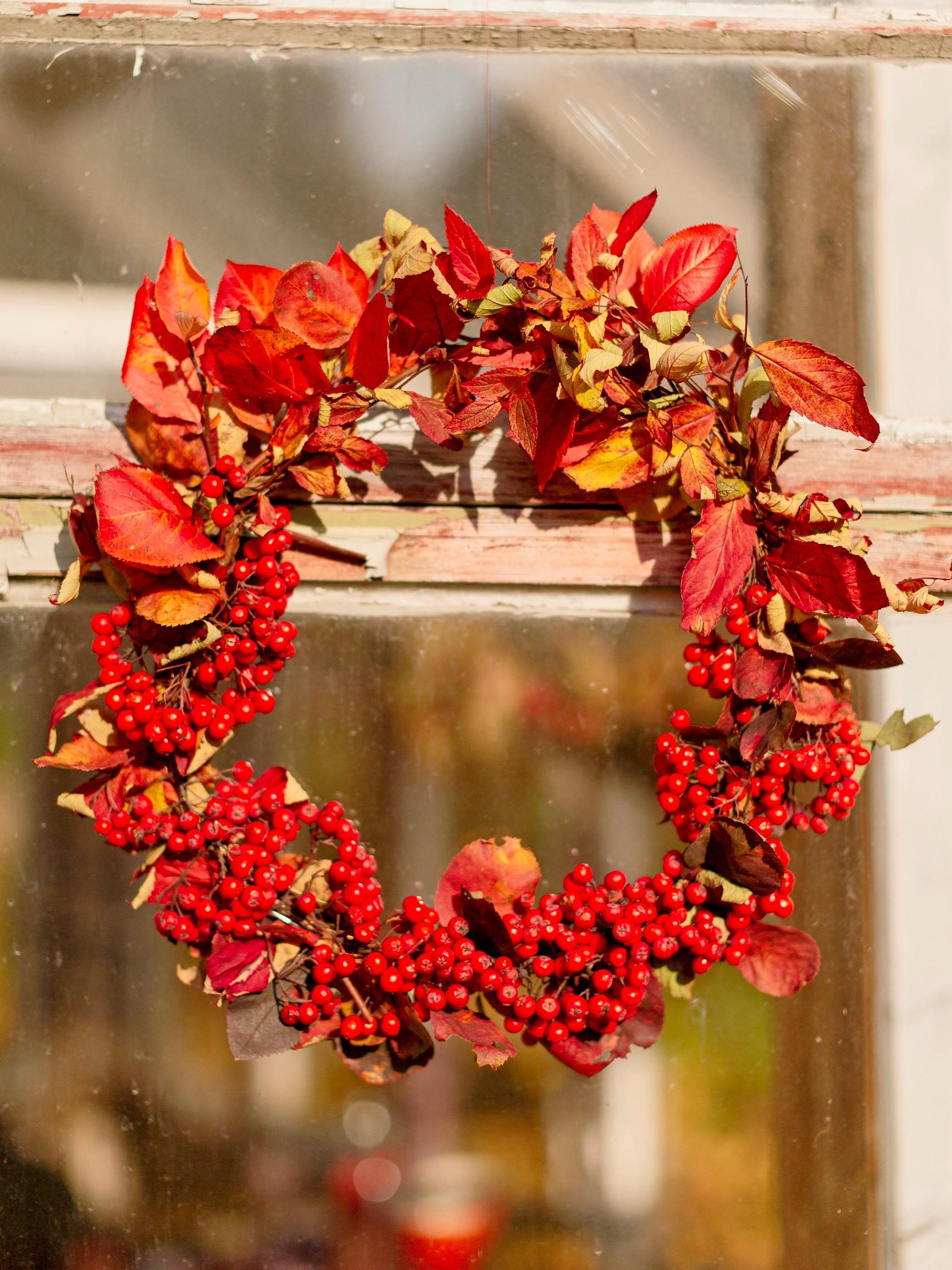Craft a rowan berry wreath that bursts with fall color