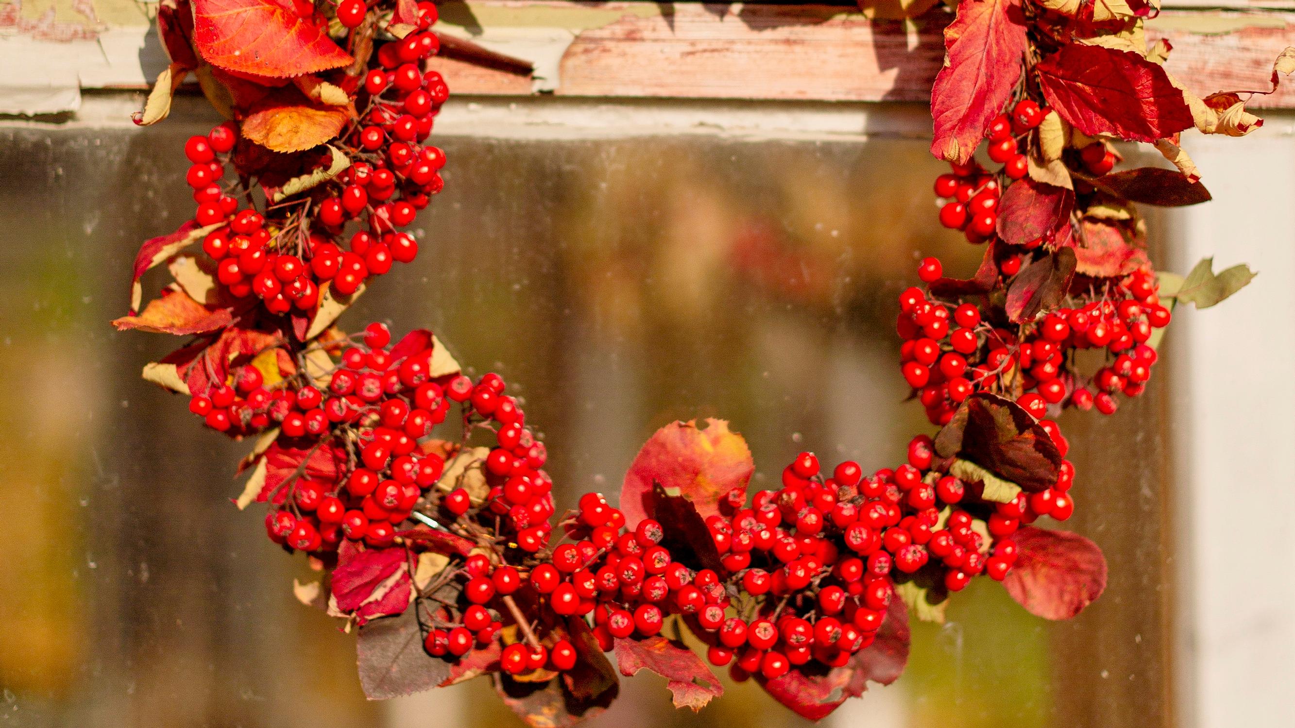 Craft a rowan berry wreath that bursts with fall color