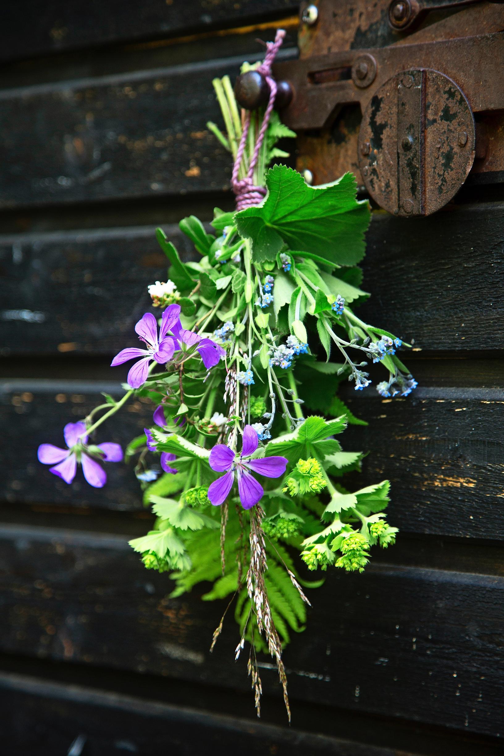 Seven flowers under the pillow—these wildflowers are perfect for both Midsummer bouquets and love spells