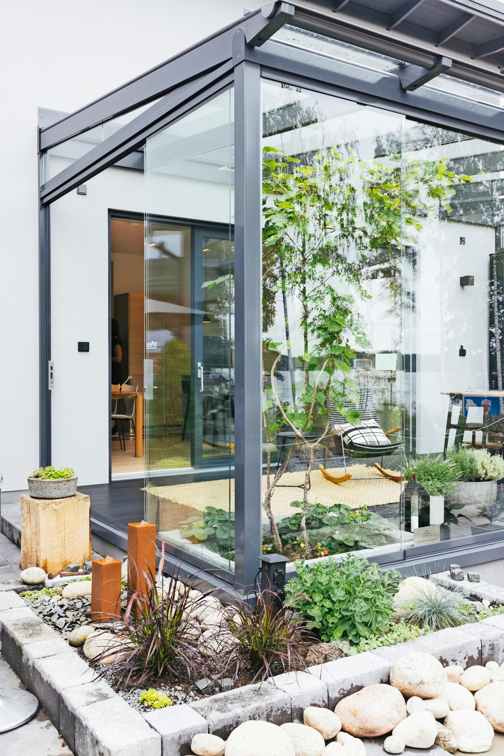 A grapevine growing in a built-in planter on a glass-enclosed terrace floor
