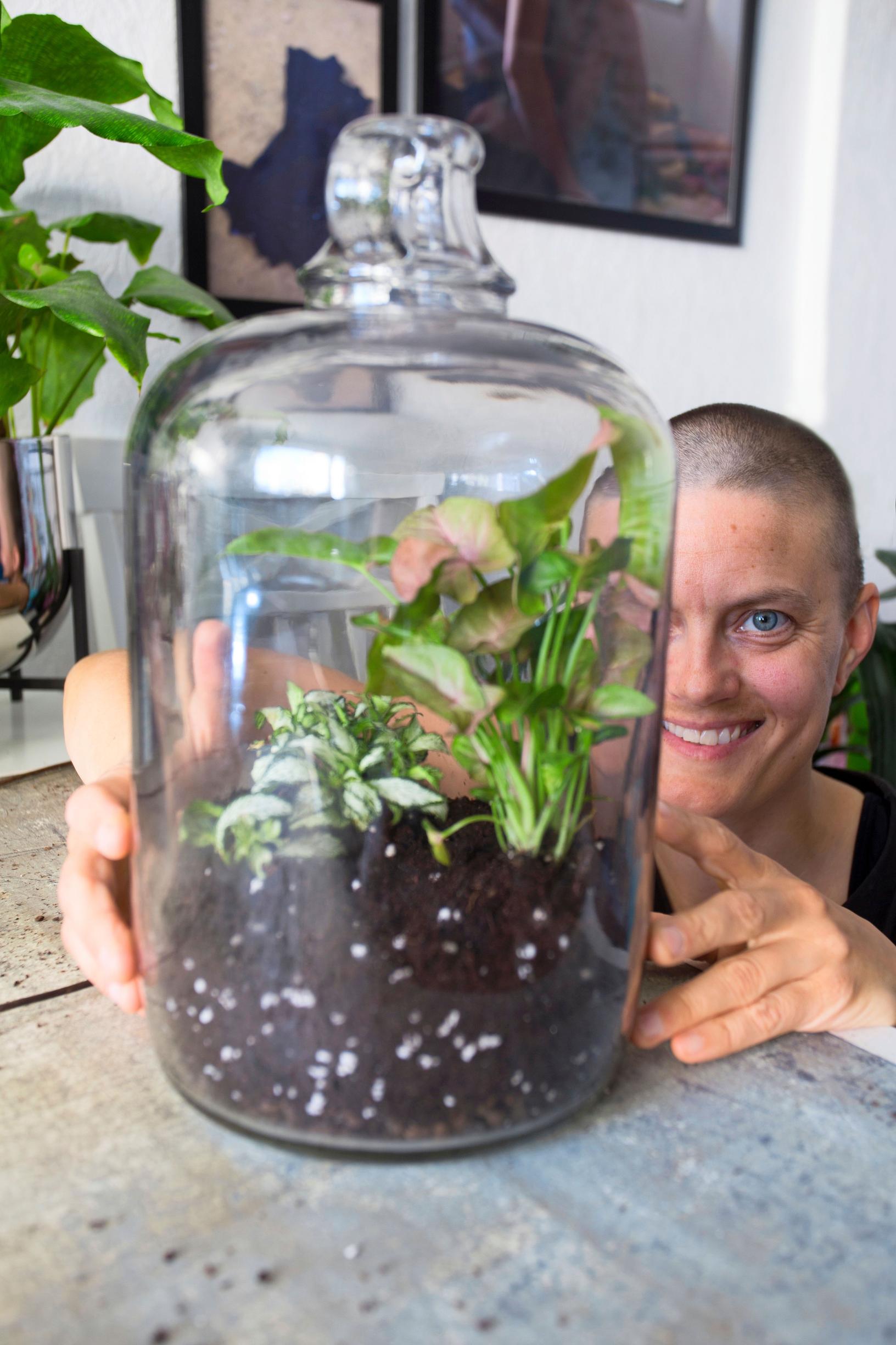 plant bottle