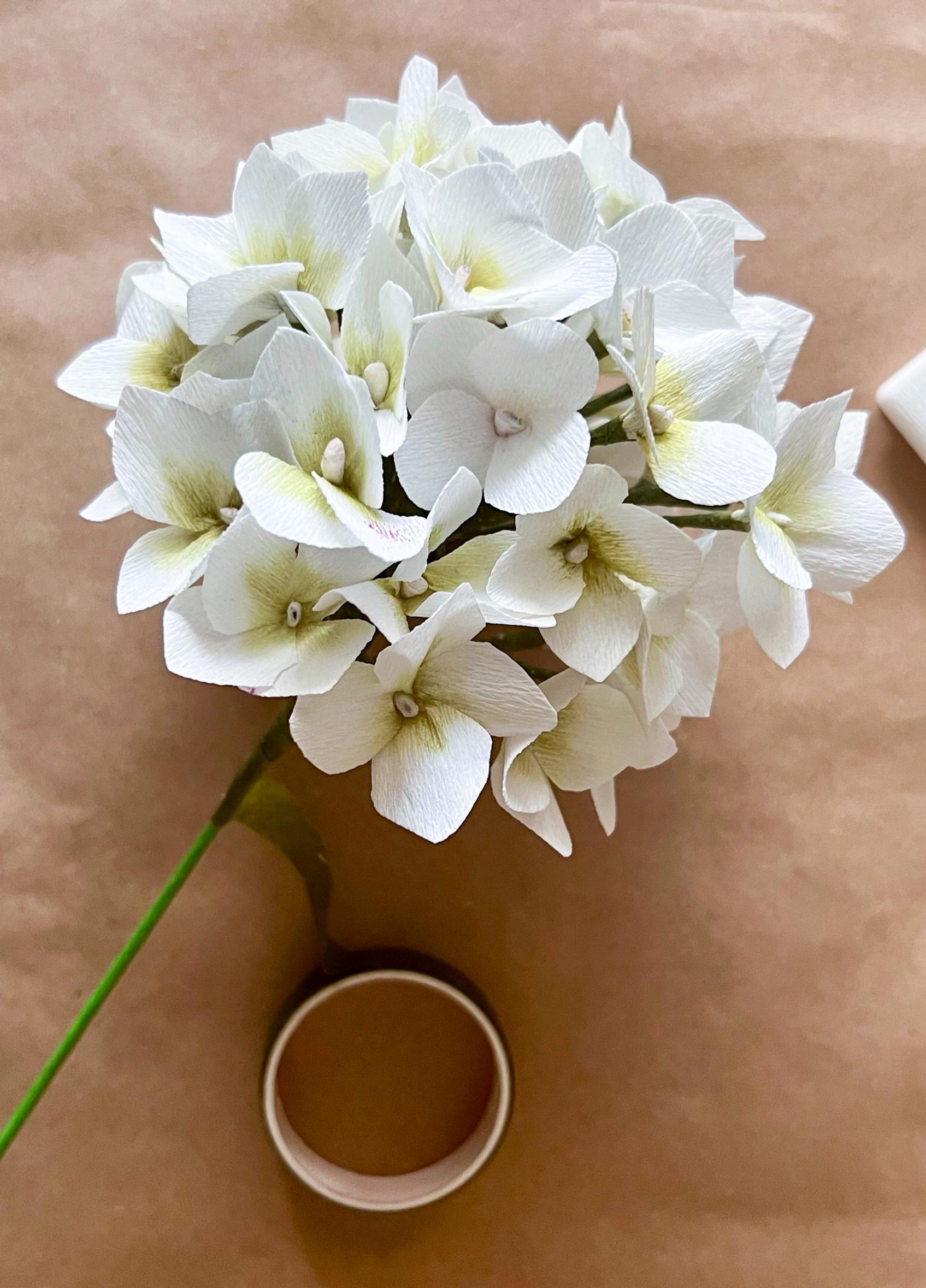 White paper hydrangea