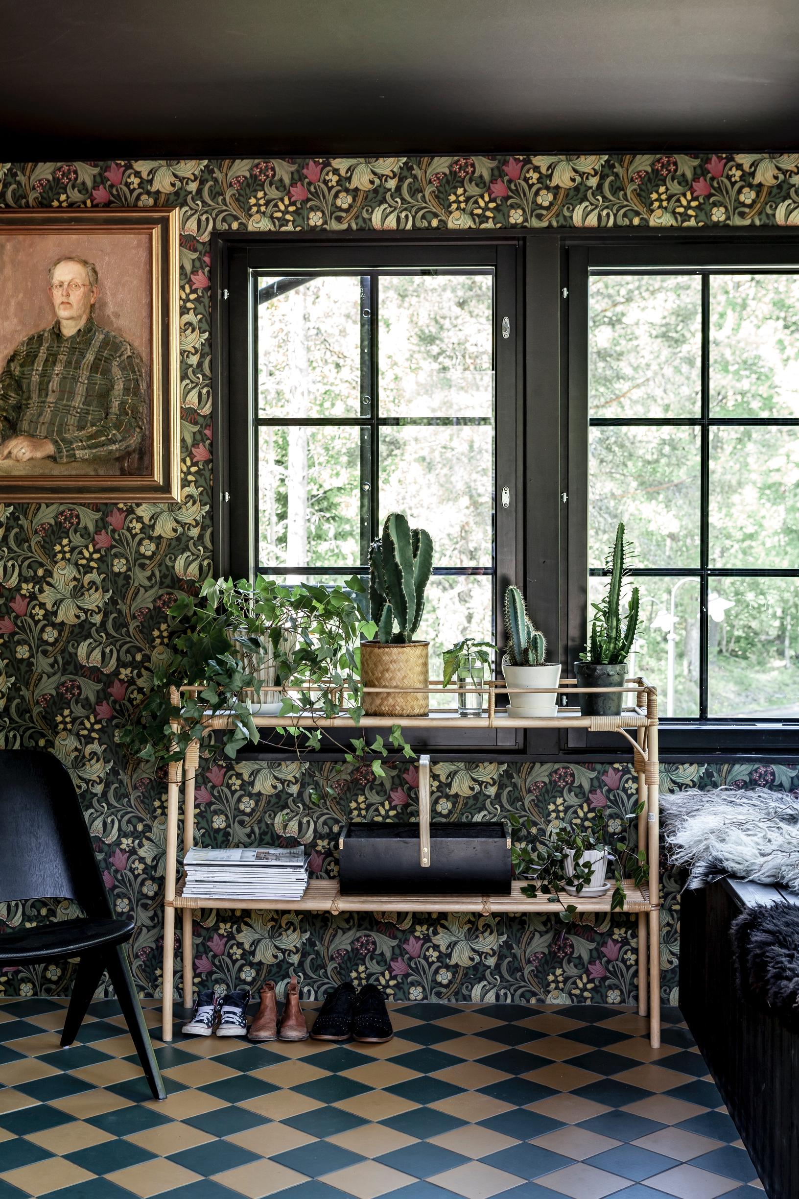 houseplants decor
