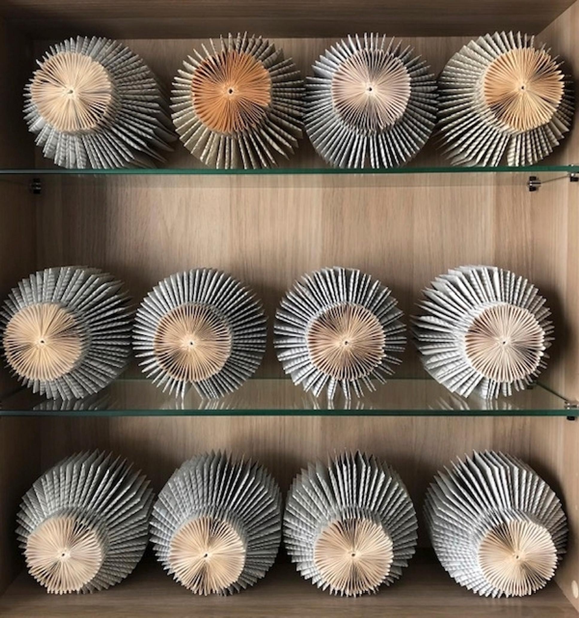 folded books on a shelf