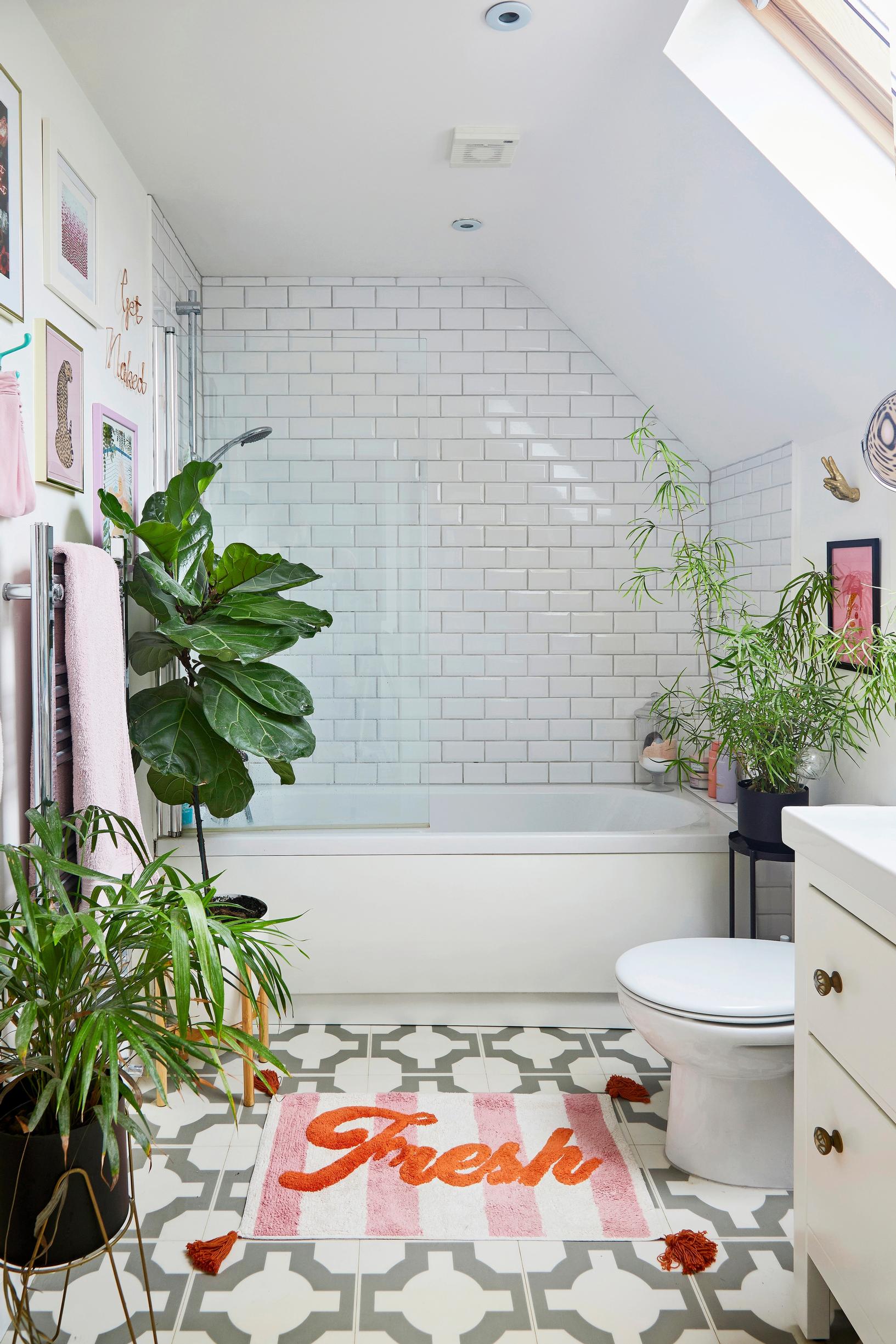 houseplants decor