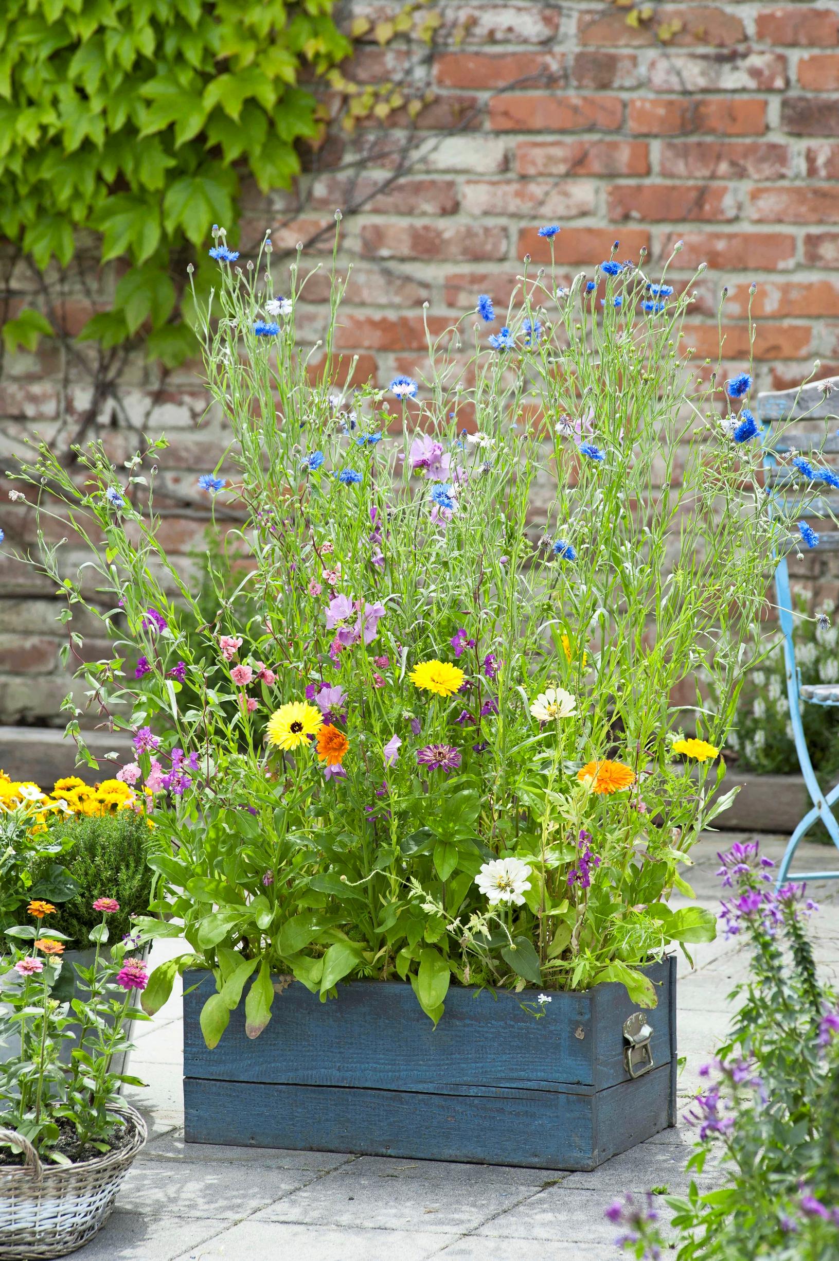 summer flower arrangements
