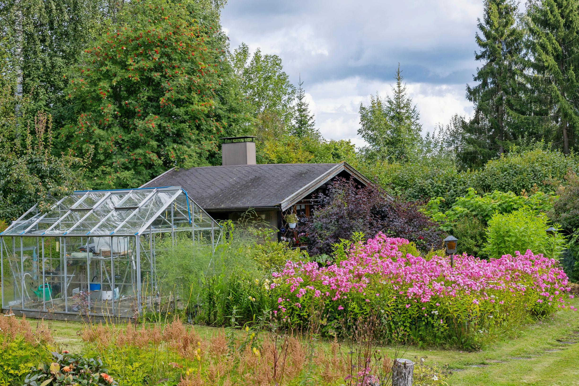 A 100-year-old veteran’s garden