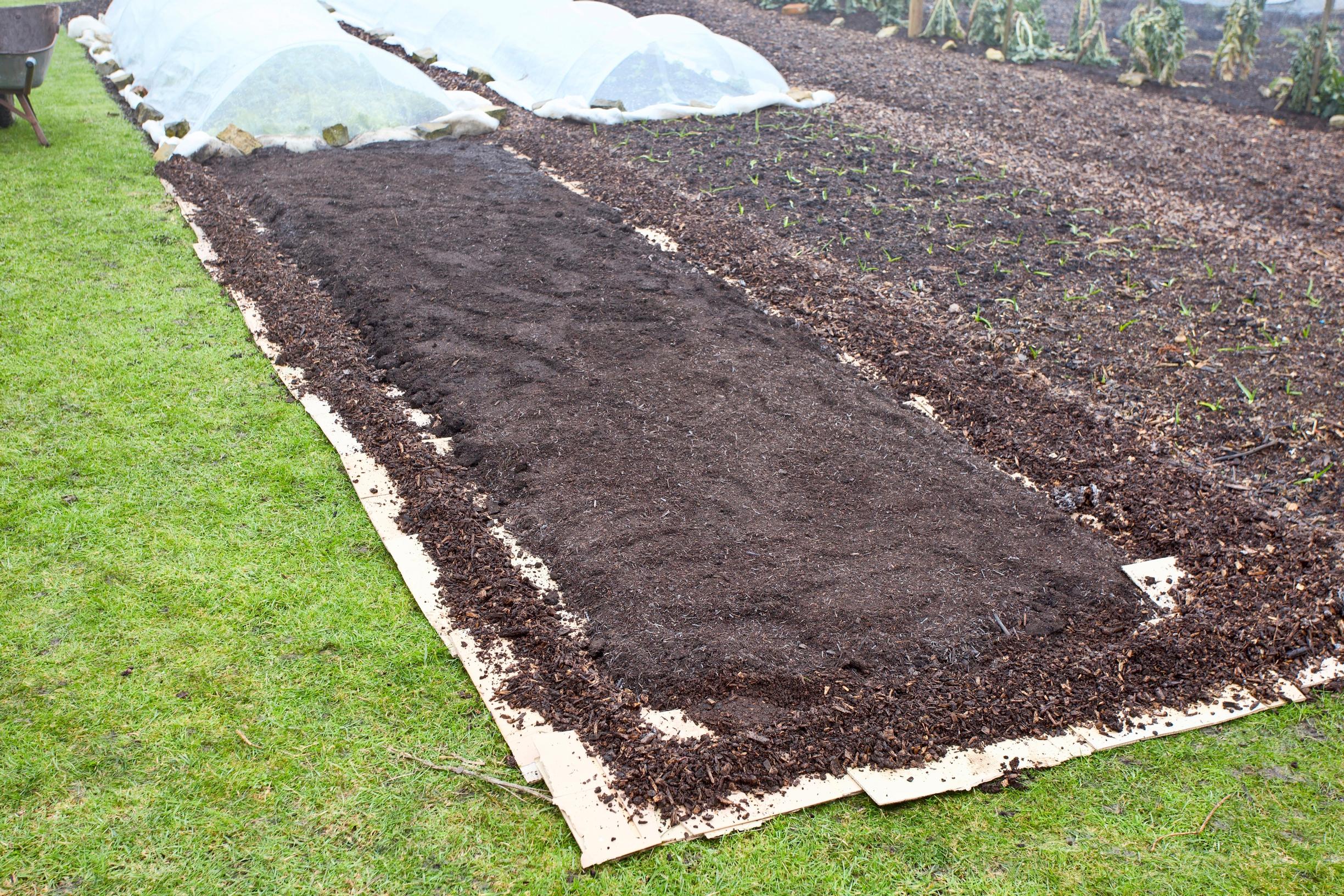 No-dig gardening: Charles covers the paths between the garden beds with wood chips.