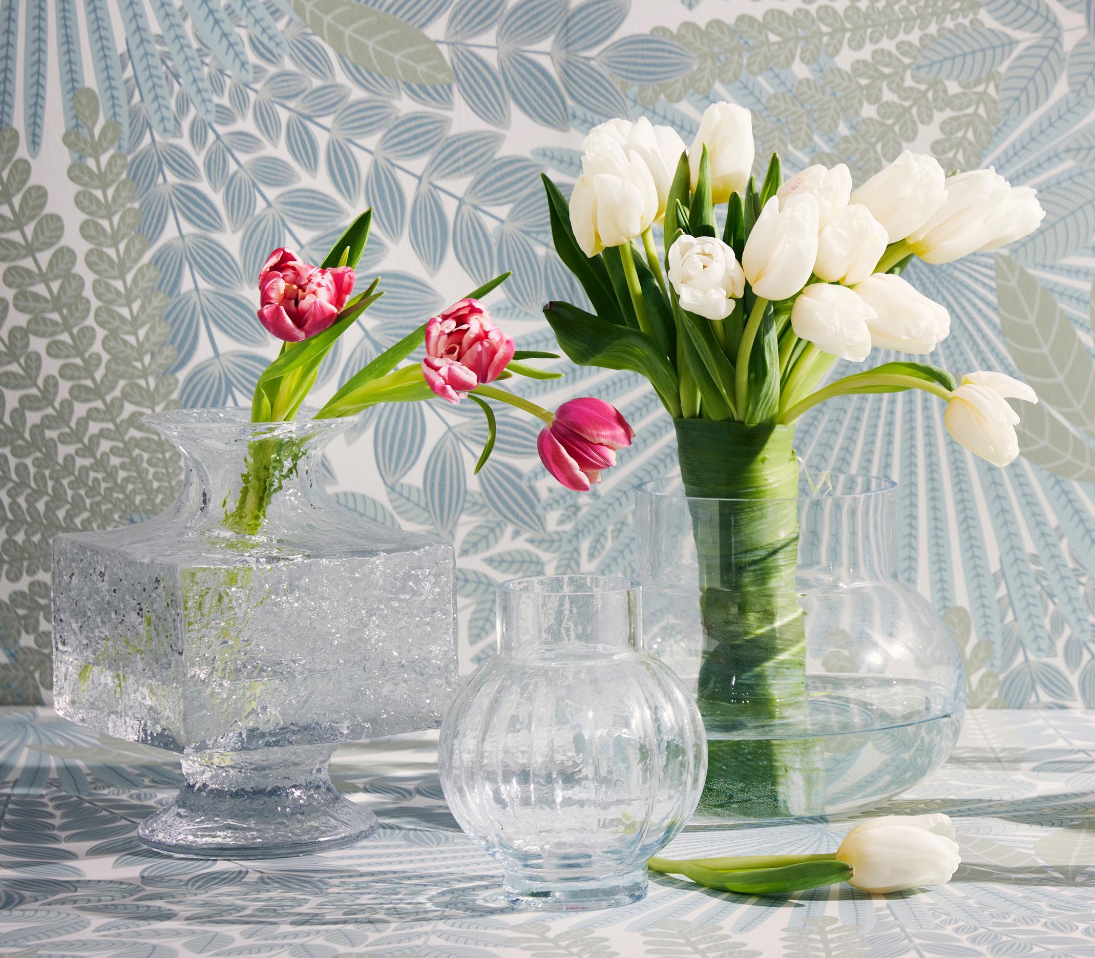 Tulips in a vase
