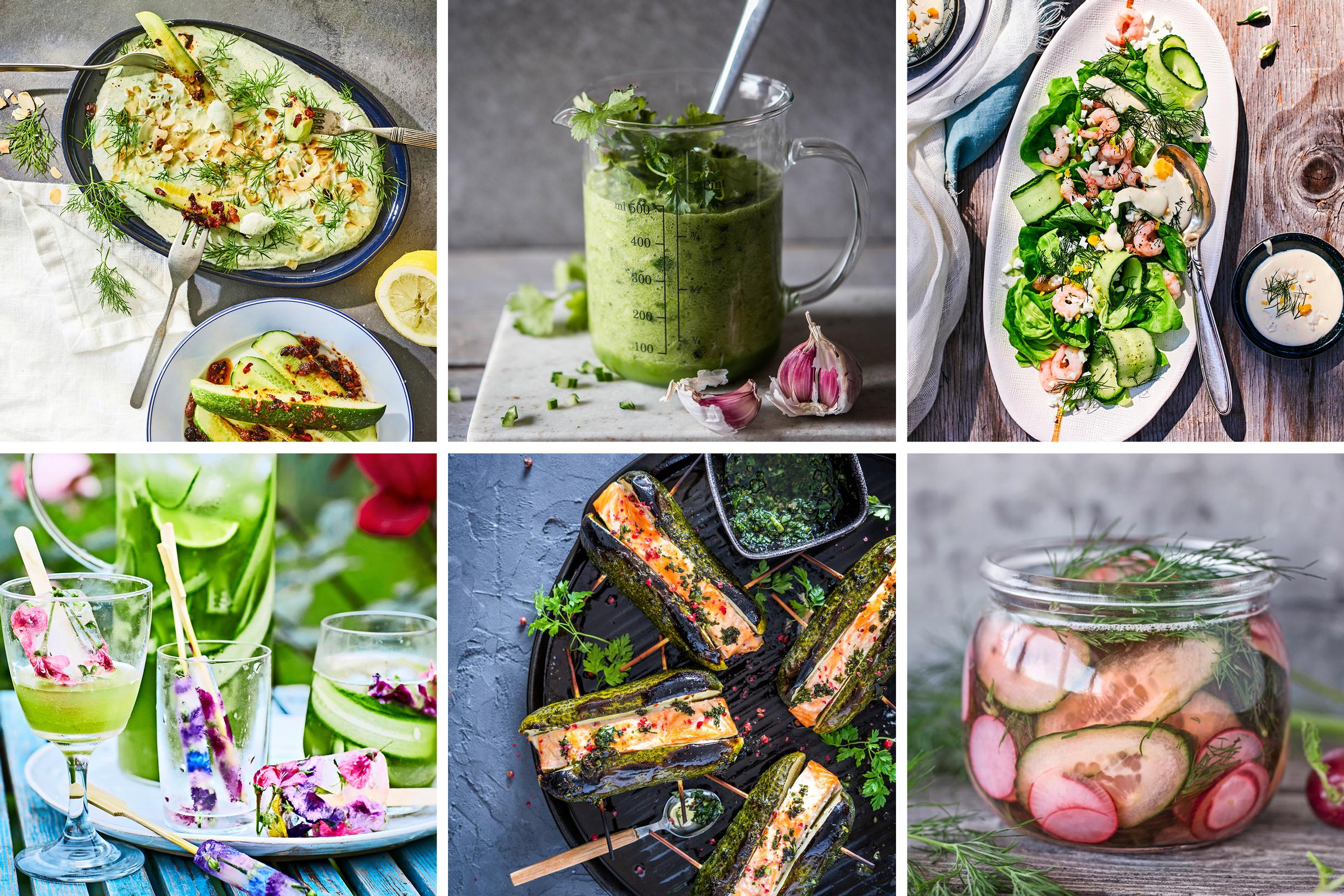 Recipes for fresh and preserved cucumbers