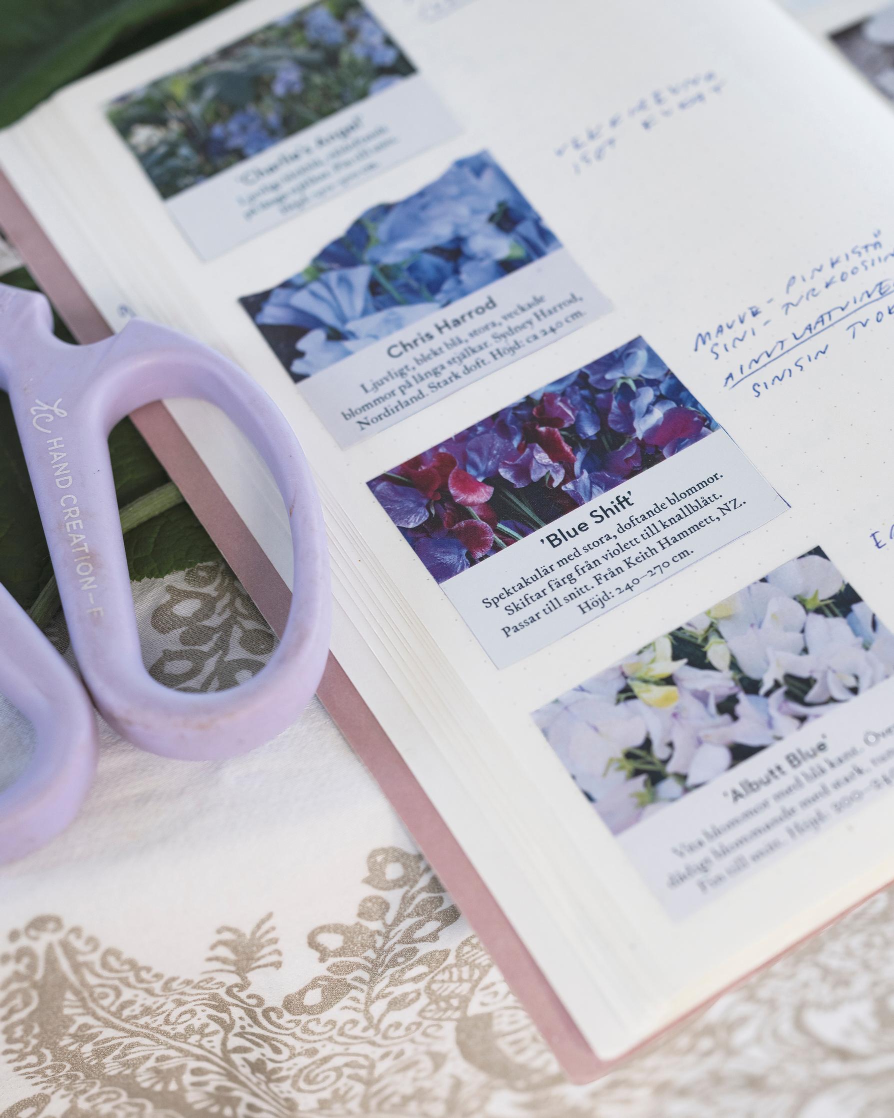 Sini’s seasonal growing notes.