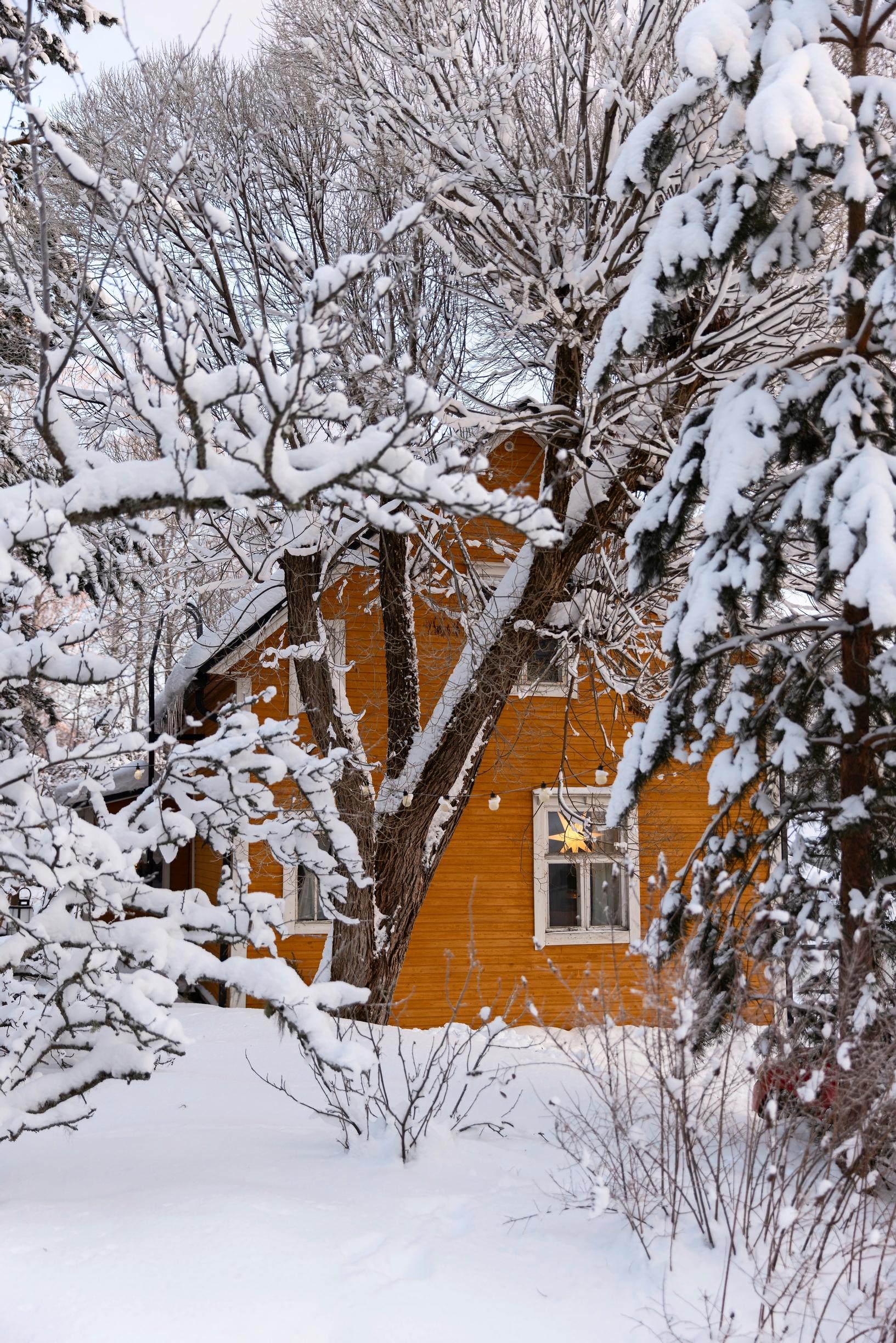 A yellow log house in the snowy landscape