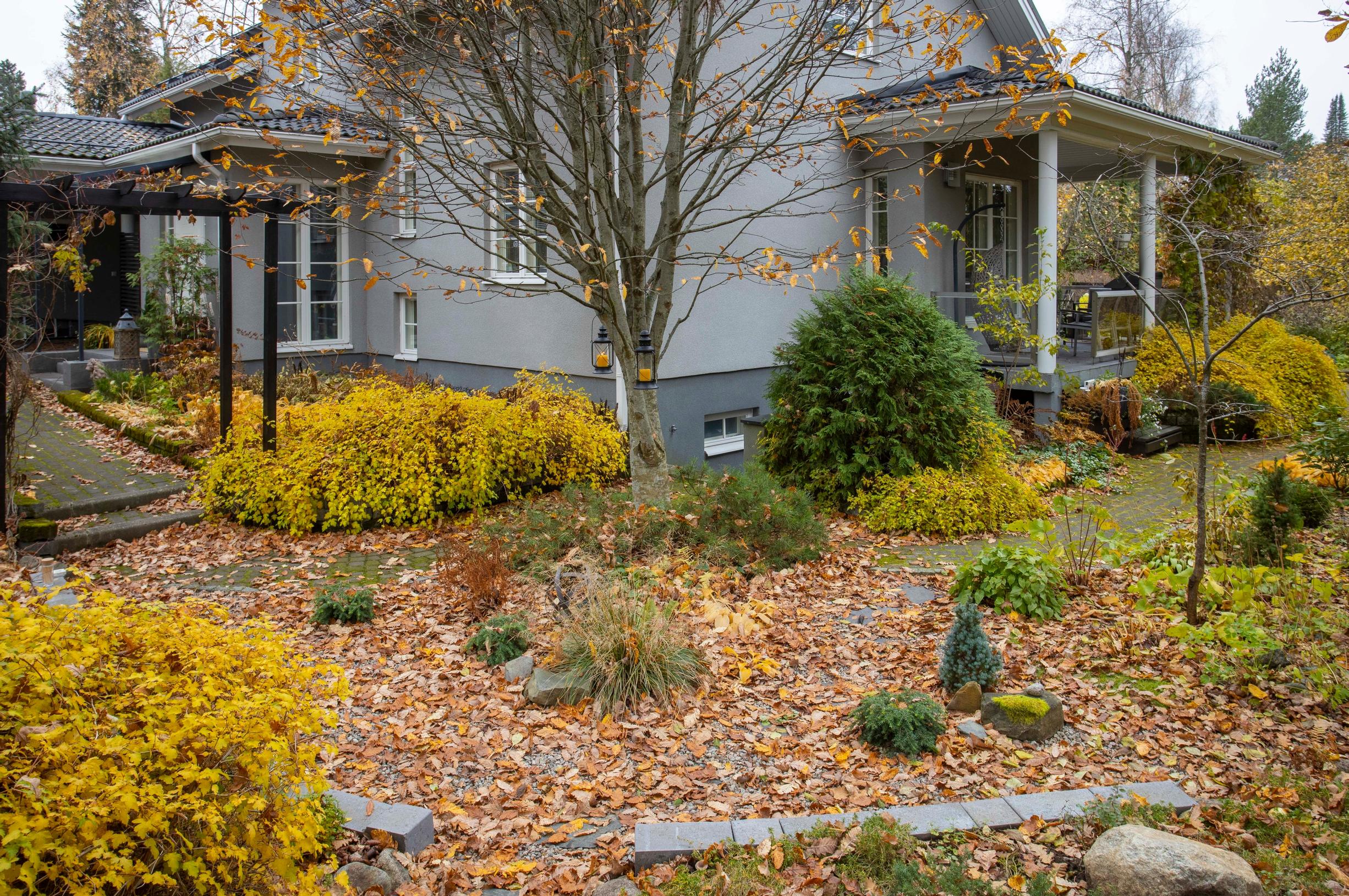 On the gravel area, tufted hair grass, ferns, and small hemlocks grow. ‘Globosa’ globe arborvitae in the background.