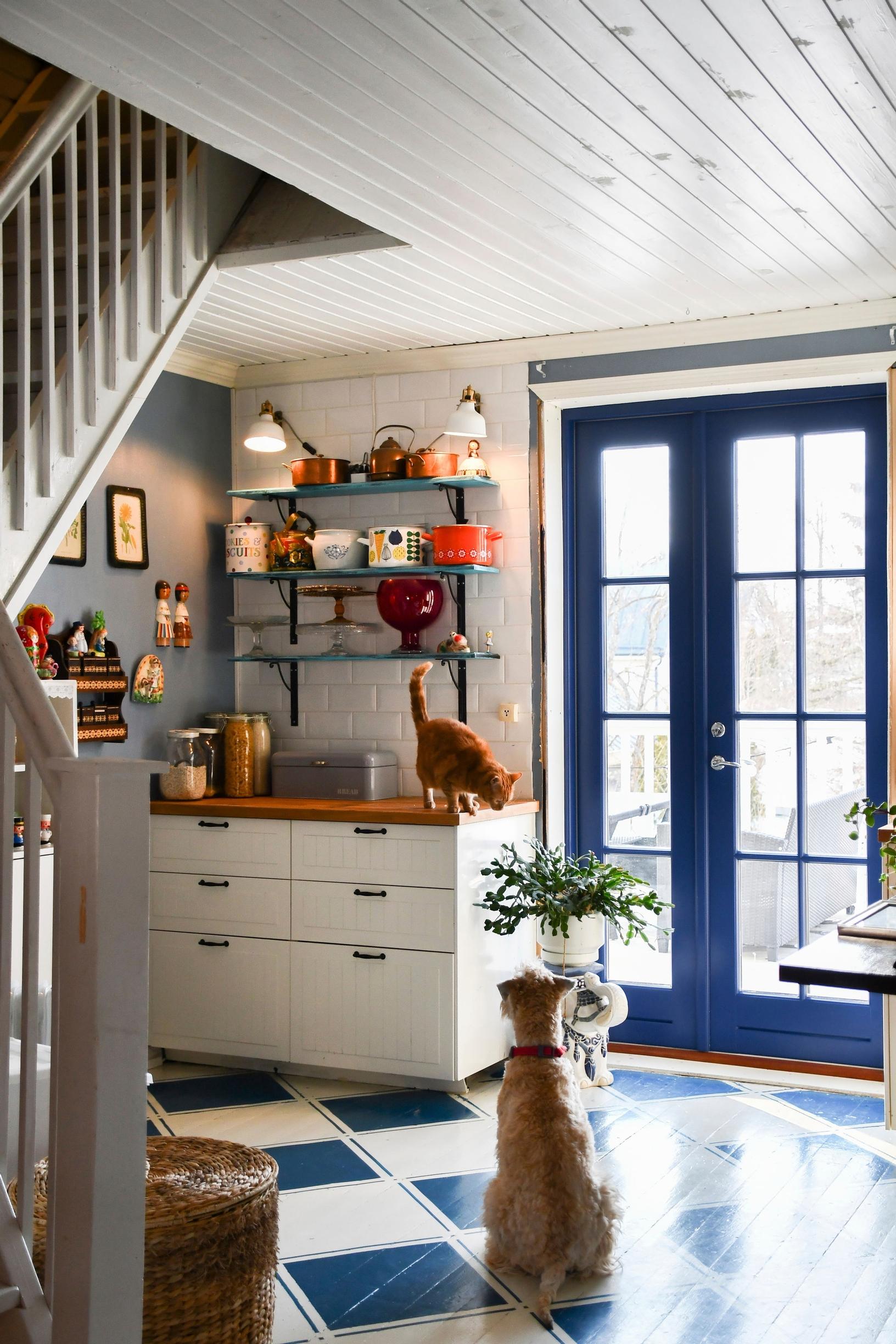 In an old house kitchen with a blue-checked plank floor and matching blue double doors and wall