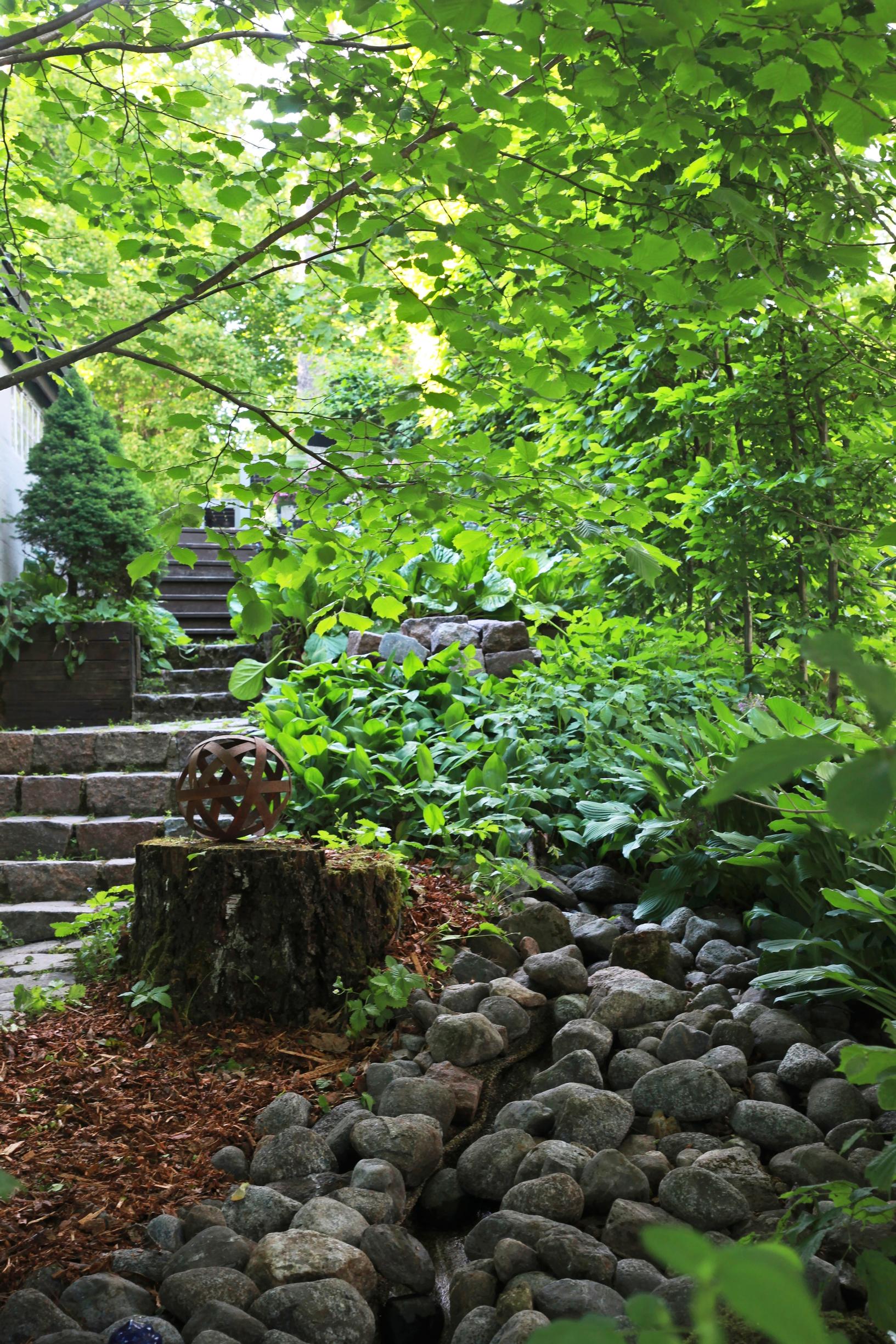 1970s garden: From in front of the entrance, a cobblestone-paved pathway leads toward the backyard.
