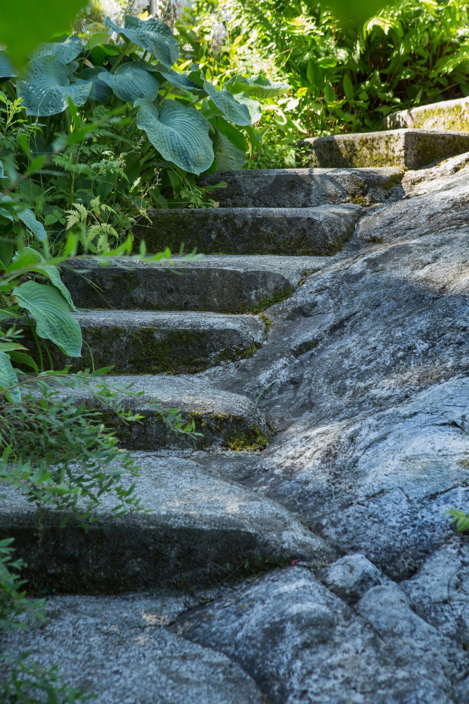 Steps in the garden: concrete