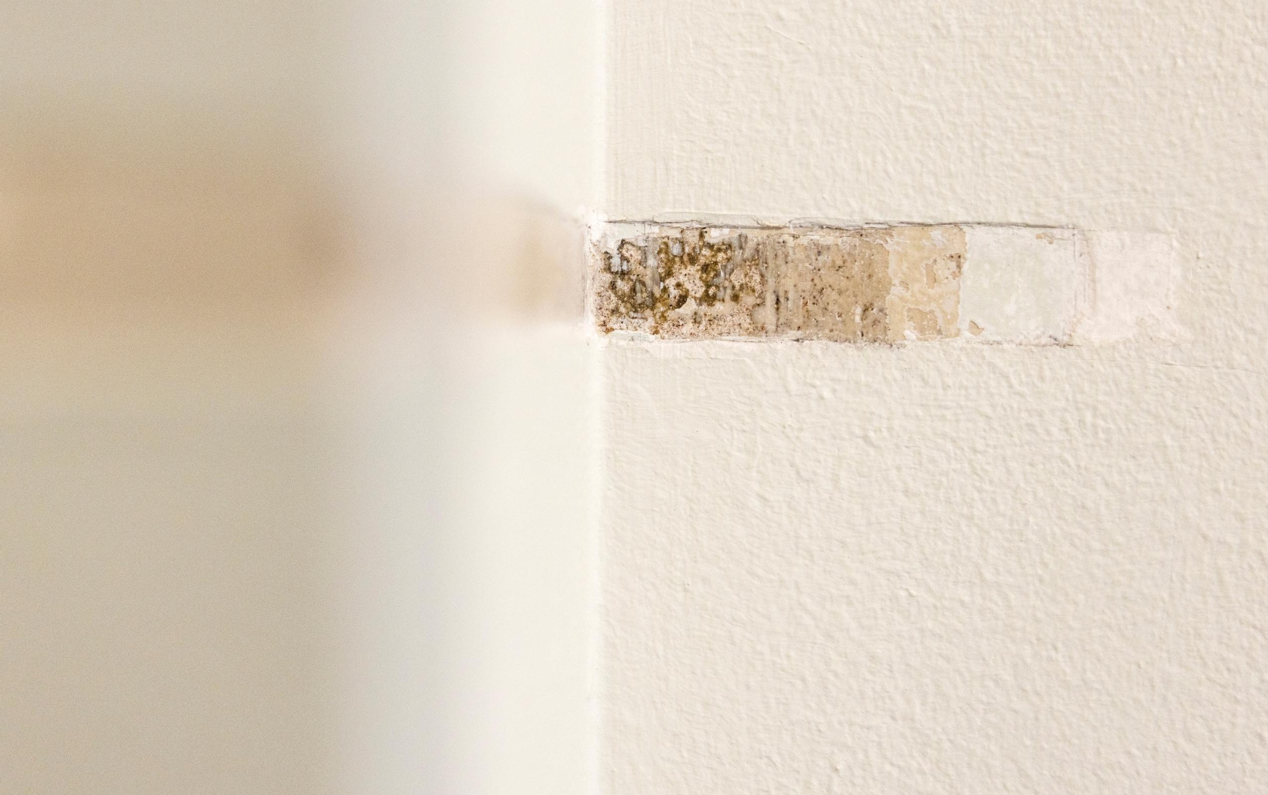Paint layers in the Parliament Building’s wall