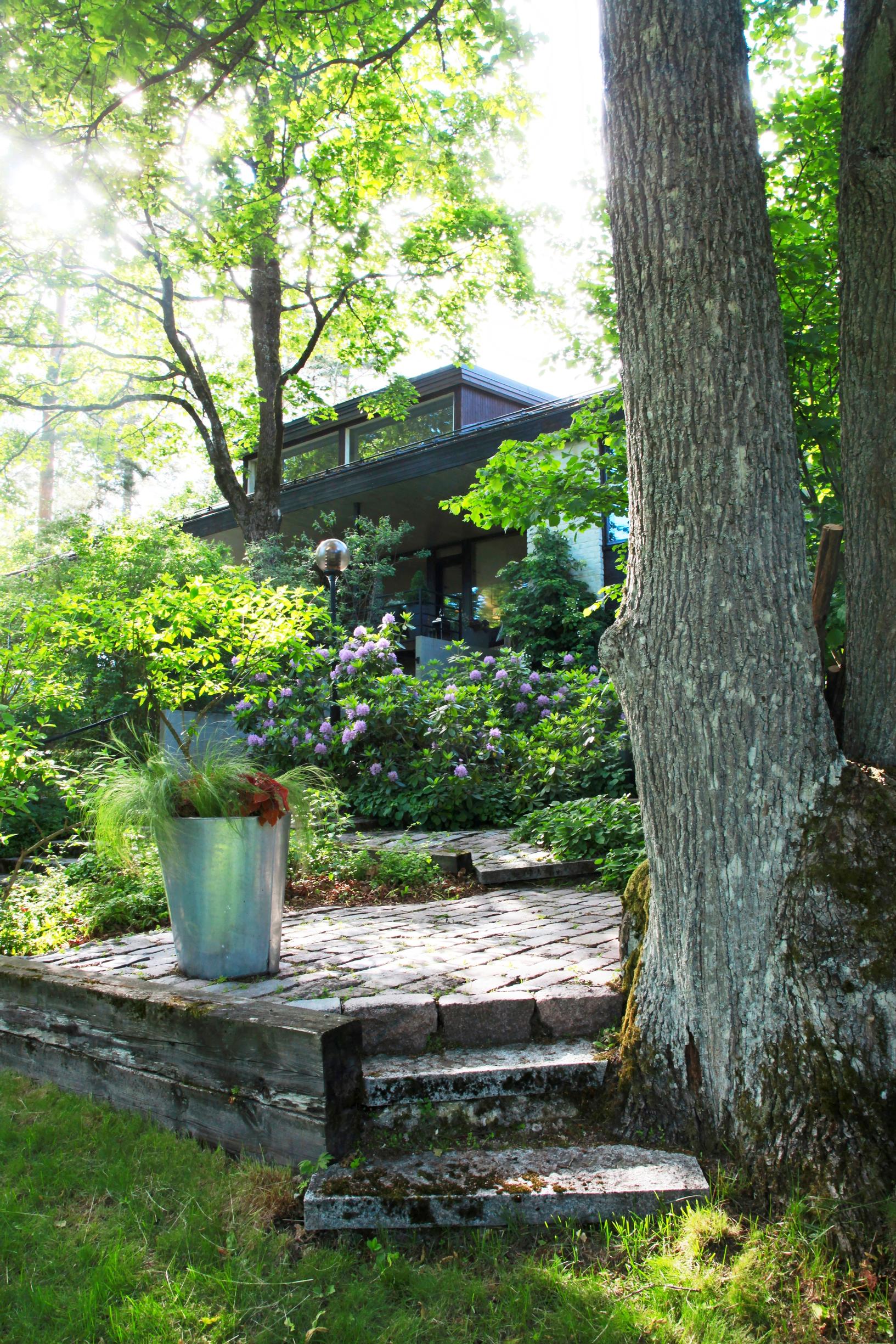 1970s garden: The garden is still almost in its original state with its magnificent maples and oaks.