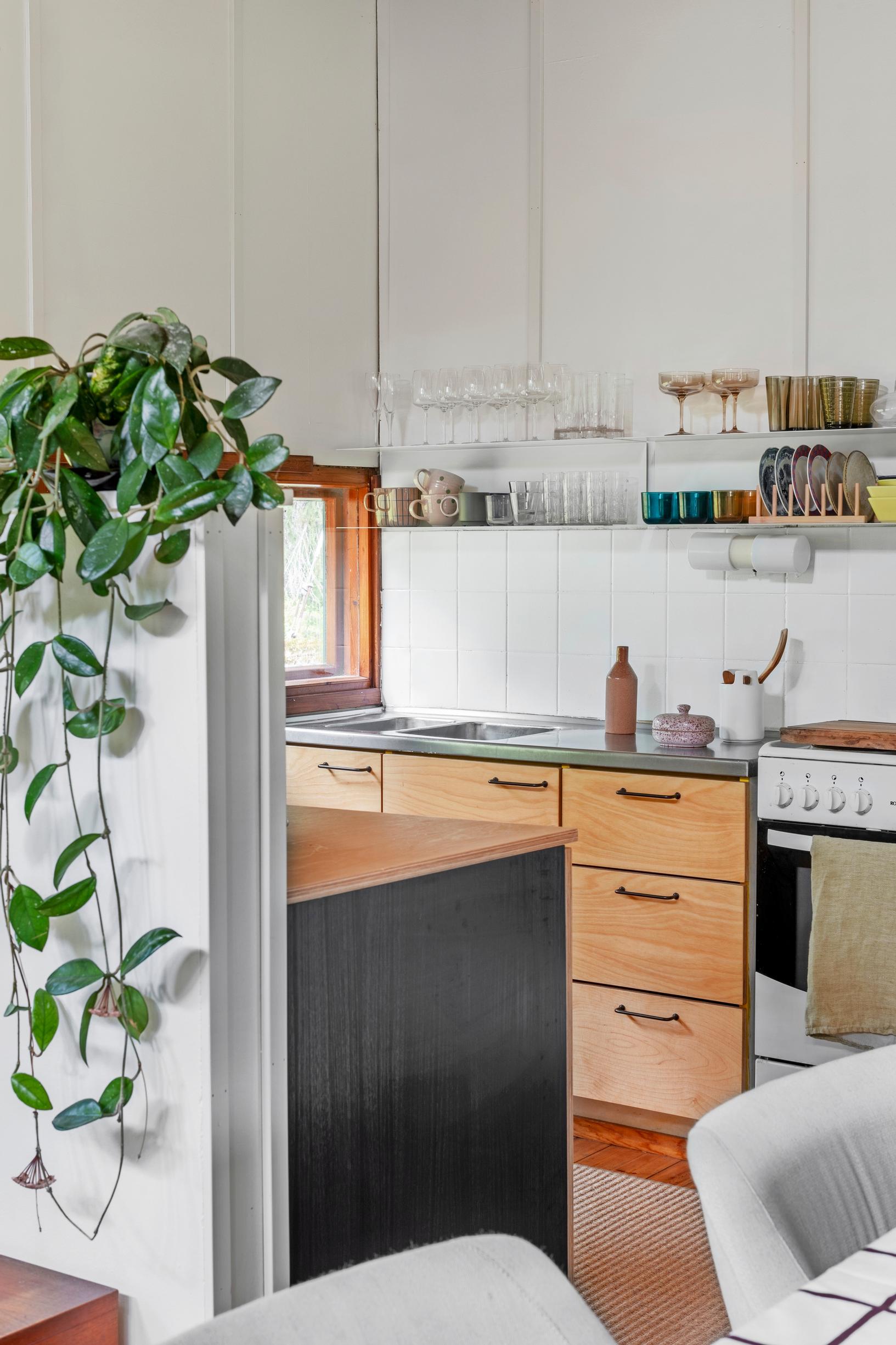Birch plywood kitchen cabinets, a stove, and dishes on open shelves, with a trailing green plant in the foreground.