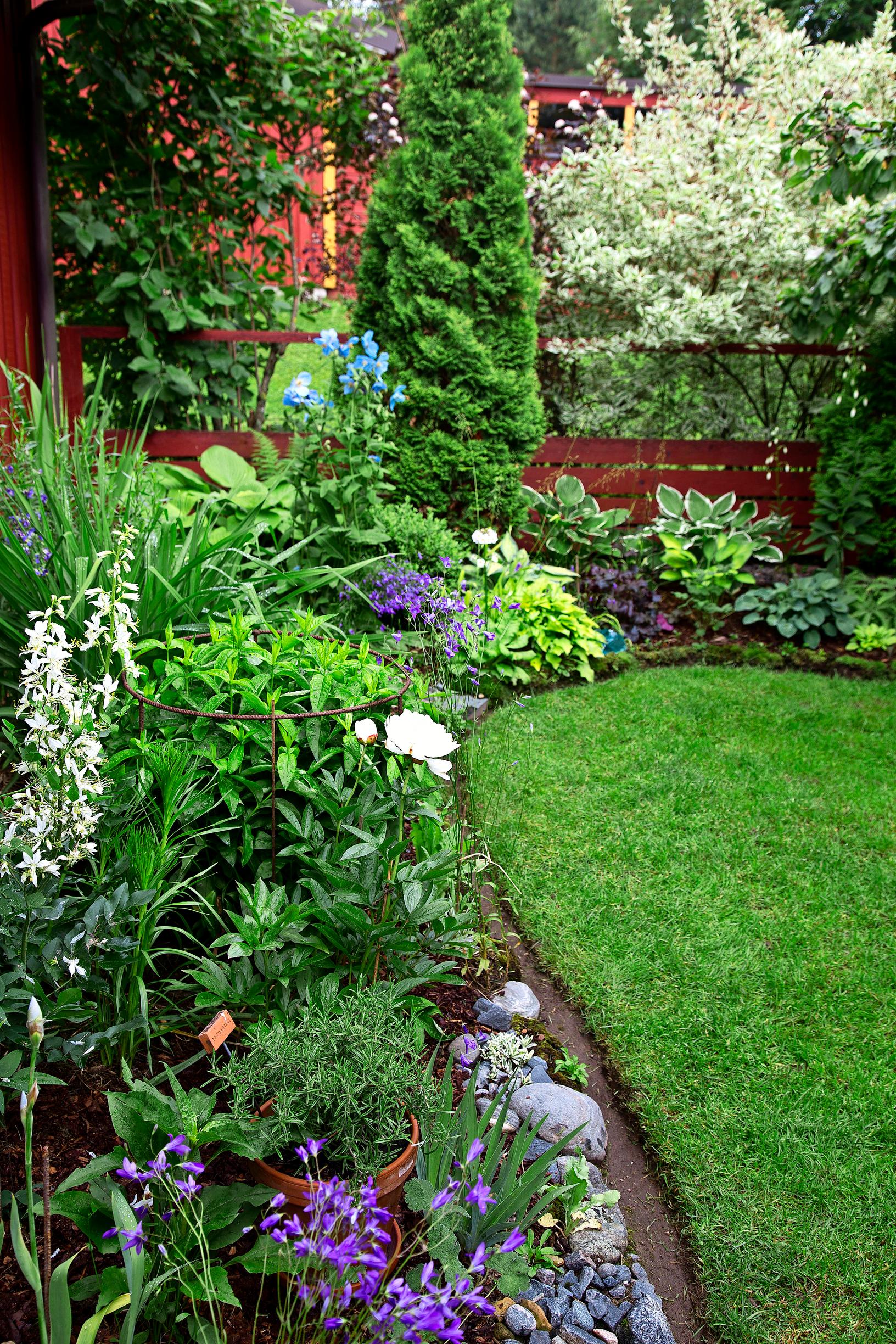 Flower bed edging: clean edge