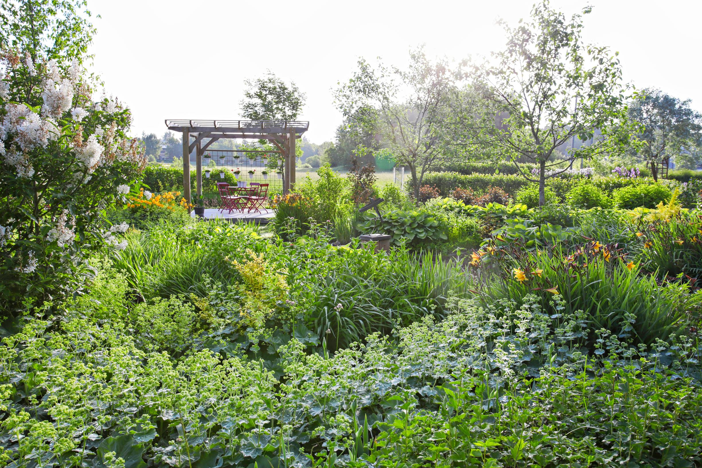 yard seating areas, pergola