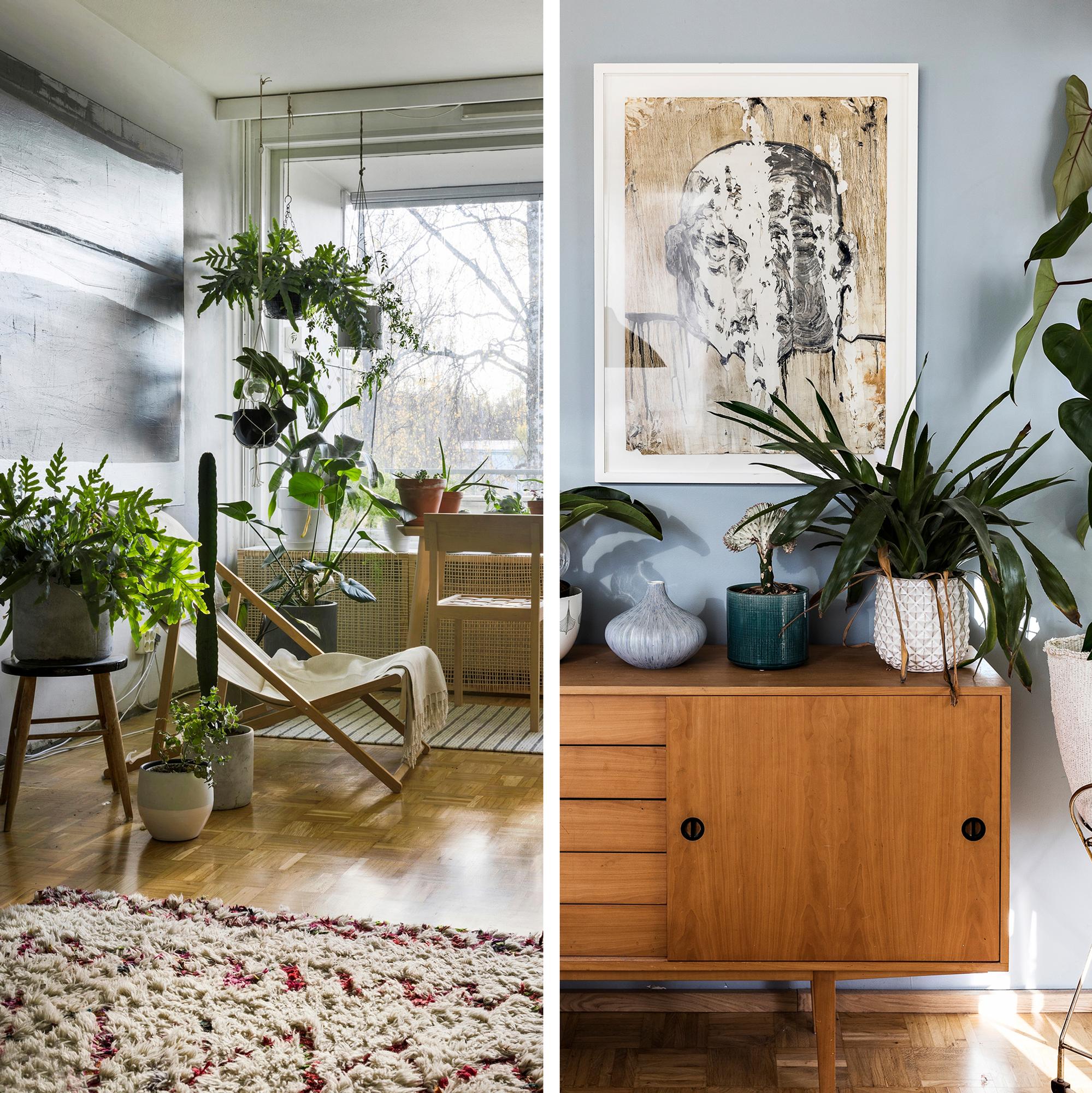 The secret to a cozy home? Plants! 12 stunning photos of lush houseplants and inspiring arrangements