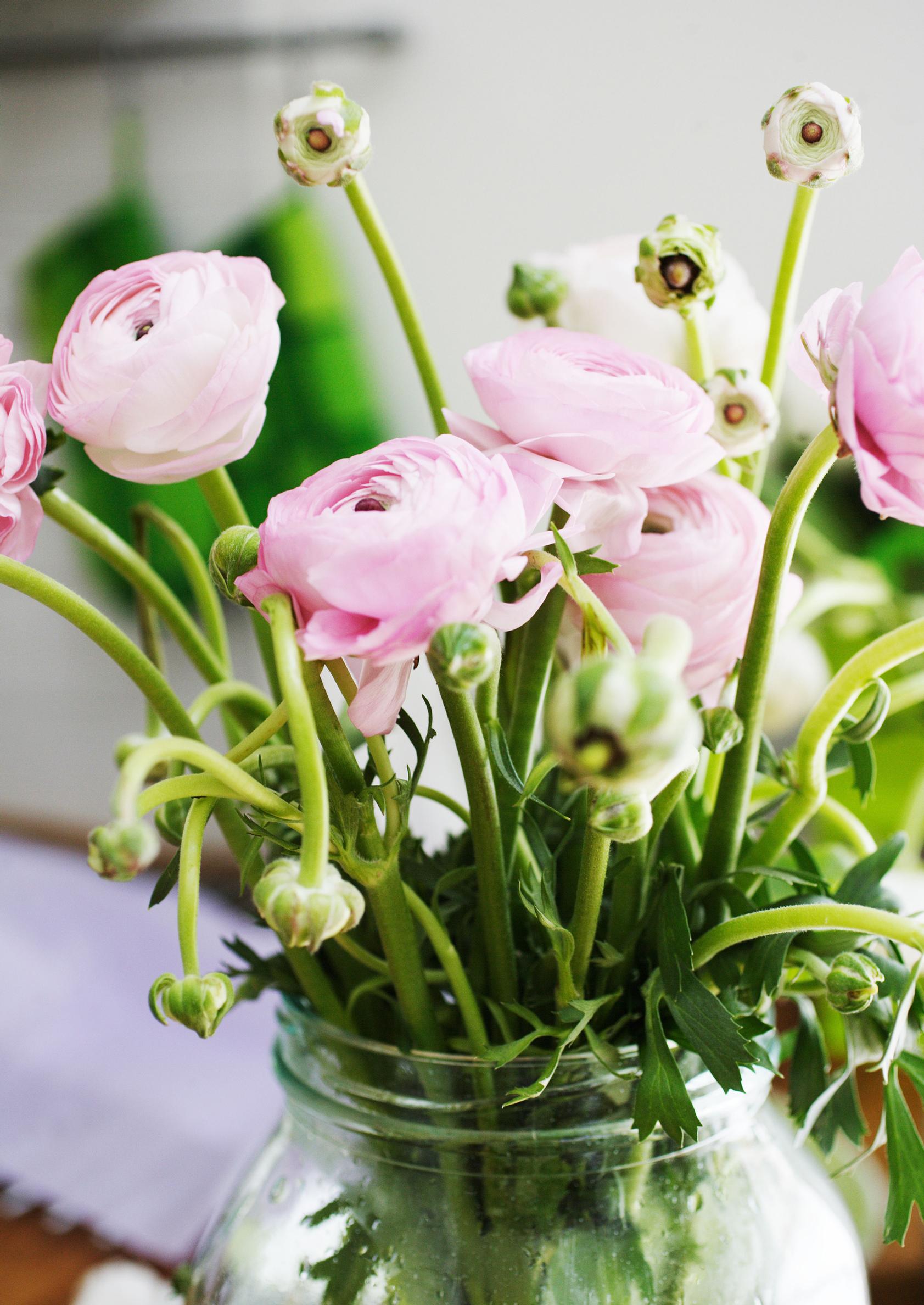 Valentine’s Day flowers: ranunculus