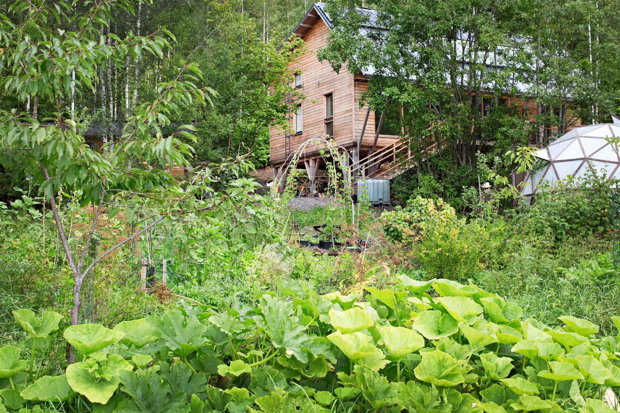 Permaculture in the garden