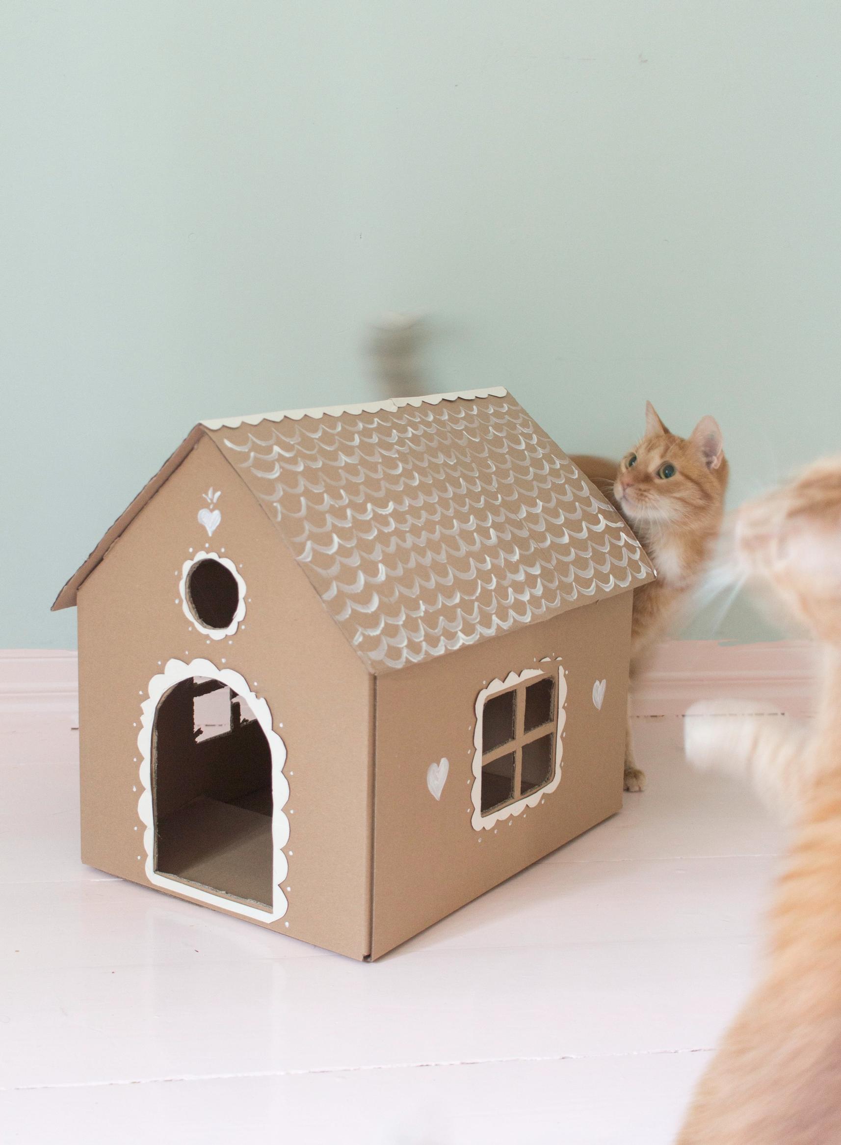 Decorations for a cat’s gingerbread house